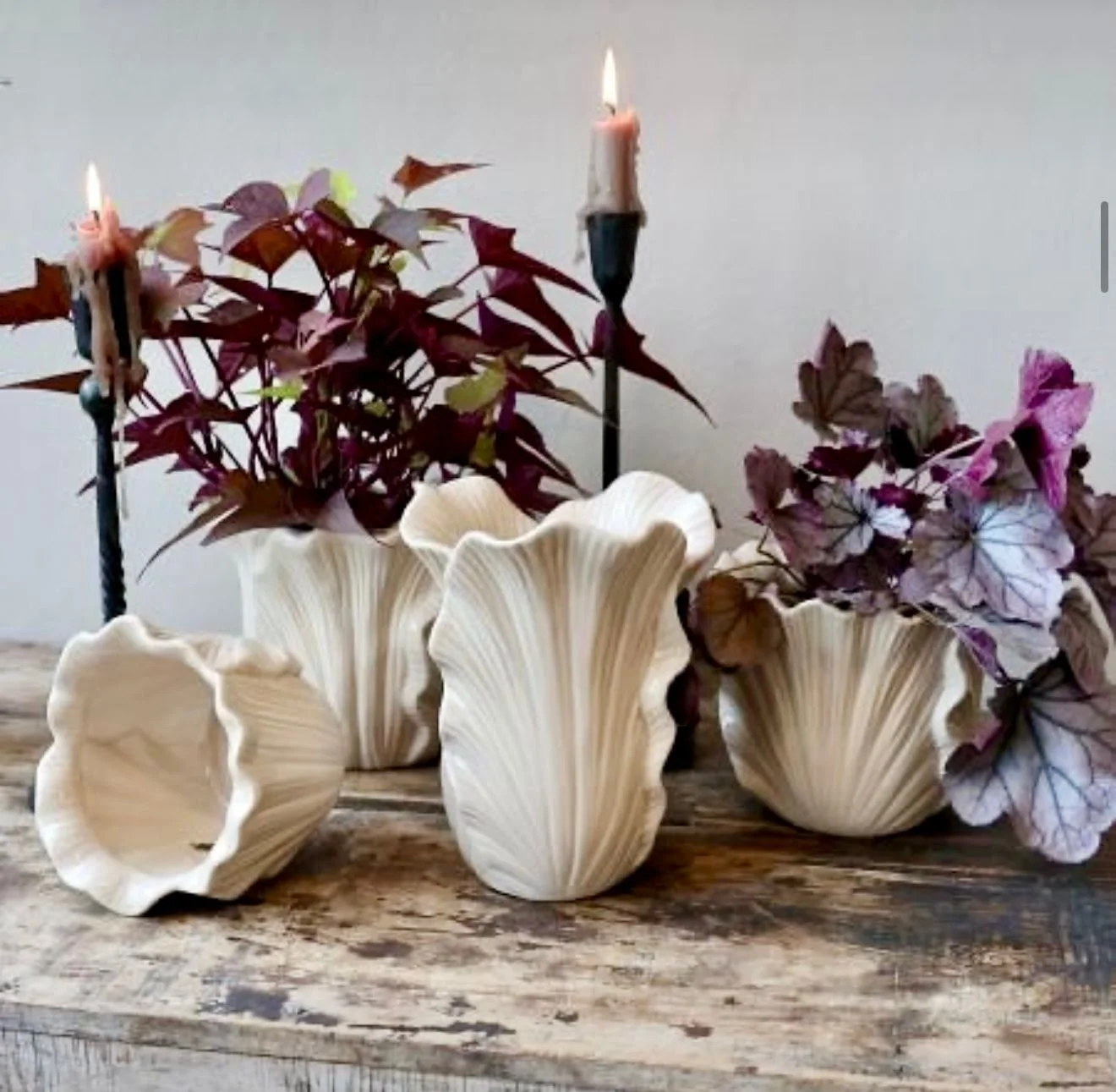 Weiße Muschelschale mit rosa und roten Pflanzen, zwei Kerzenhalter mit brennenden Kerzen auf einem alten Holz Tisch.