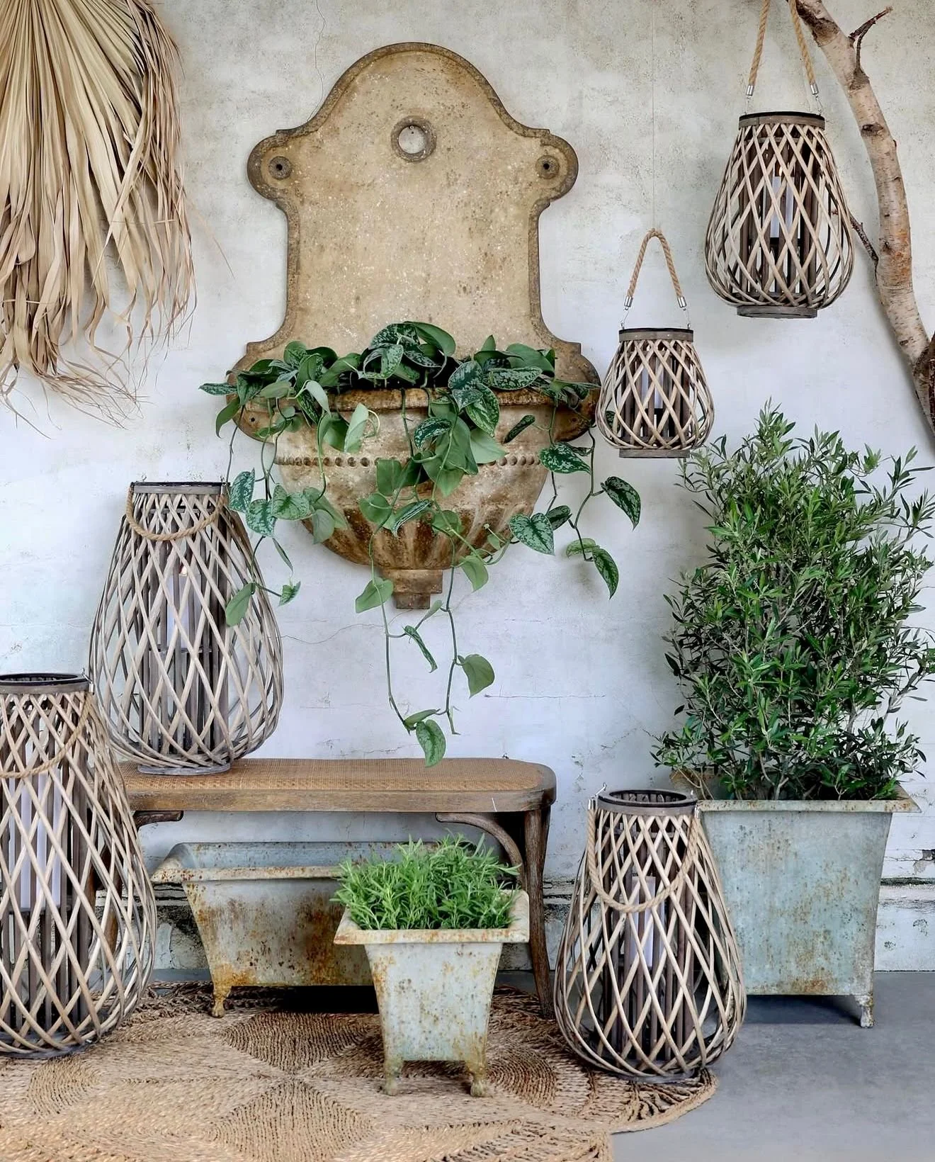 WhatsApp Image 2025-11-20 at 18.06.56 (18).jpeg