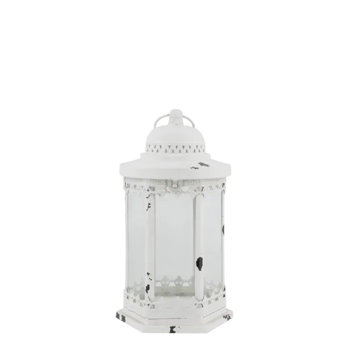 25073019_02-1727049600 (1).webp