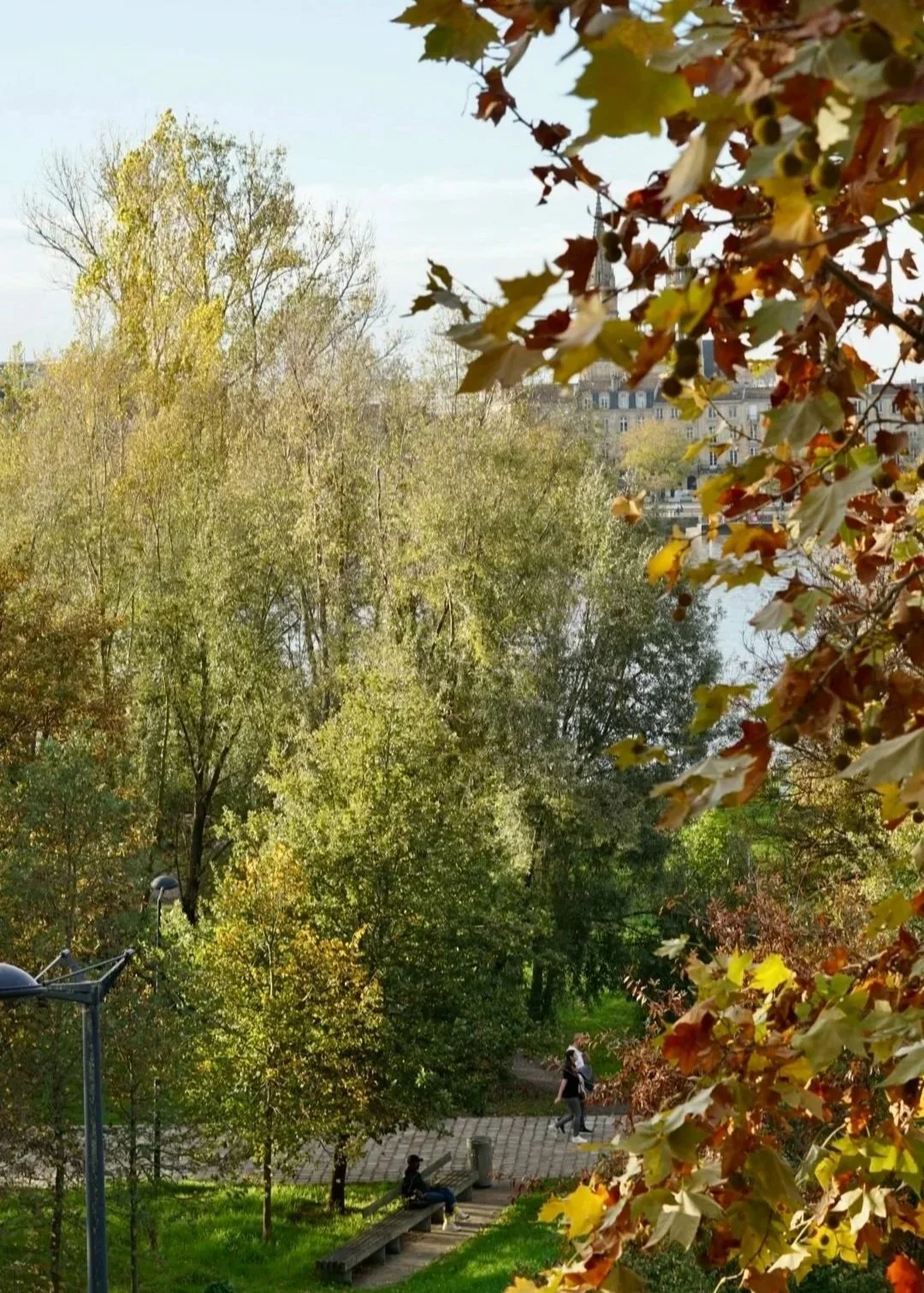 A park with trees showing autumn foliage, a pathway with people walking, benches, and a body of water with buildings in the background.