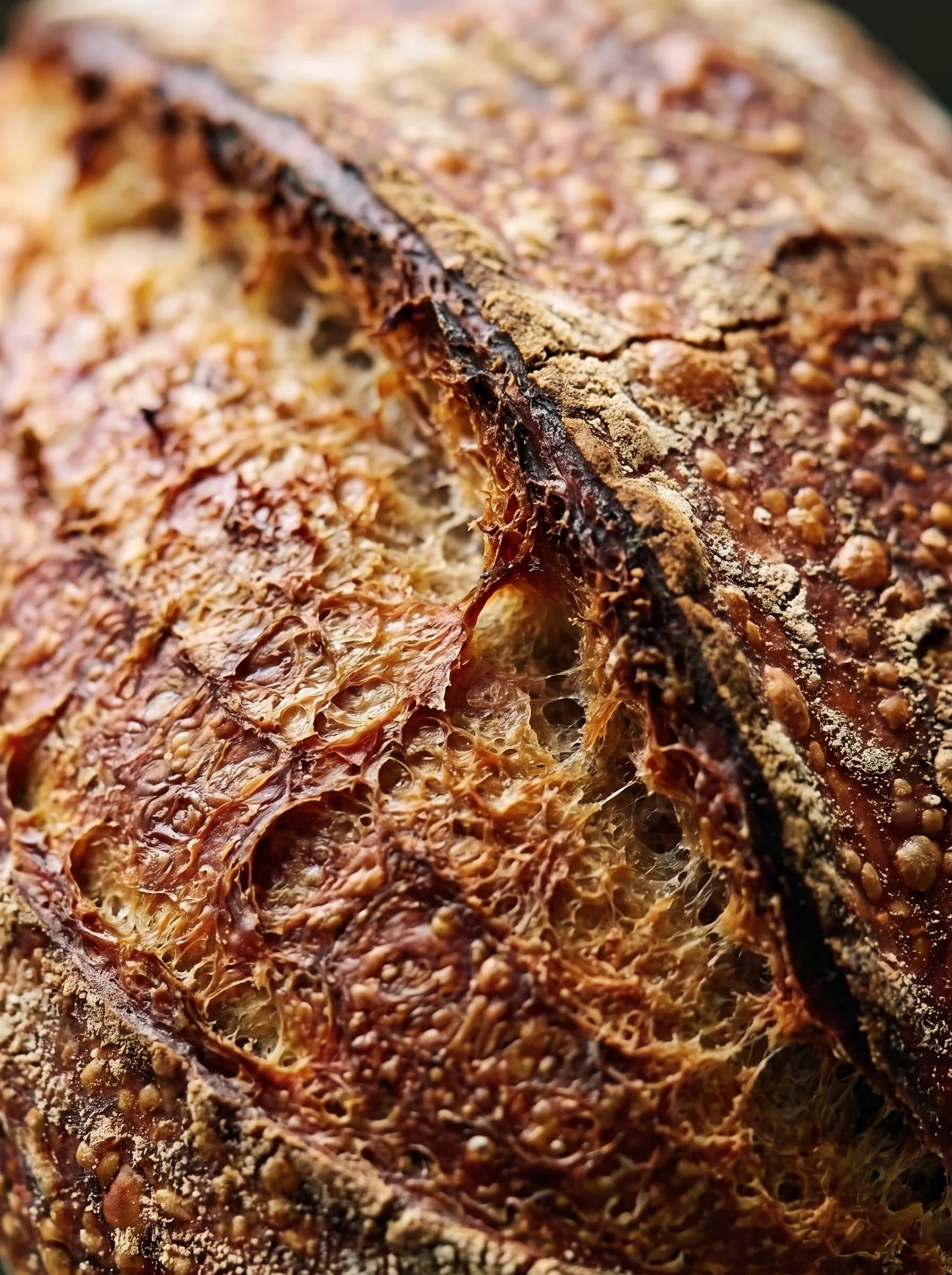 Produce_an_extreme_macro_photograph_2K_20261019111843.jpg