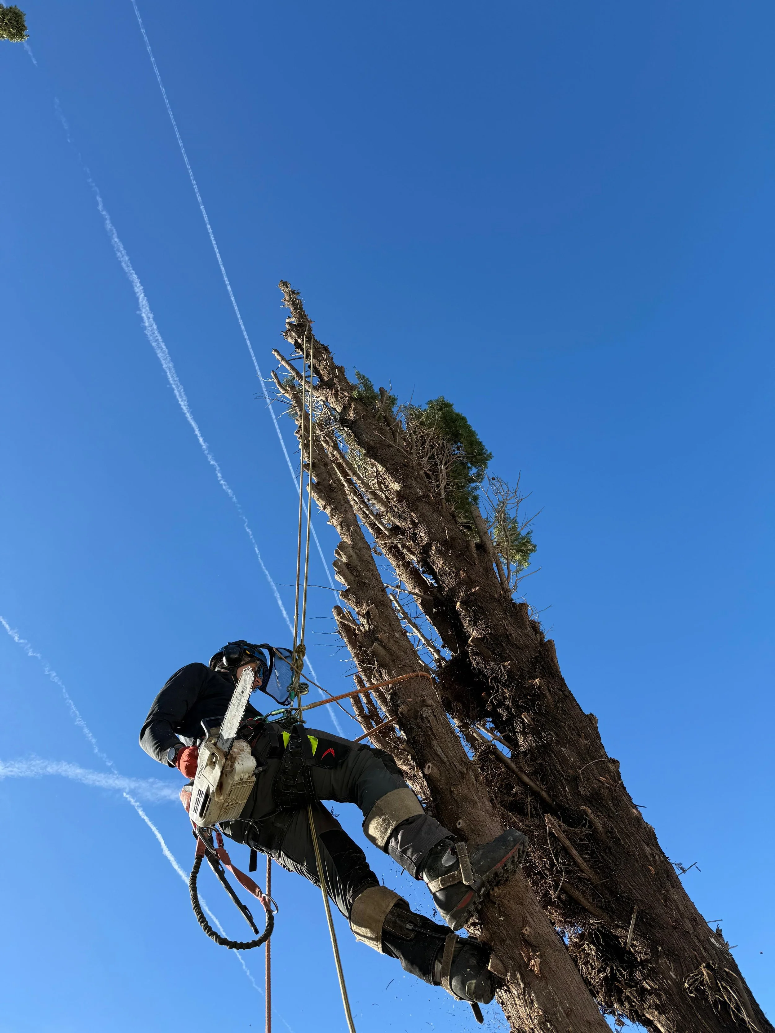 WhatsApp Image 2026-02-10 at 15.22.11.jpeg