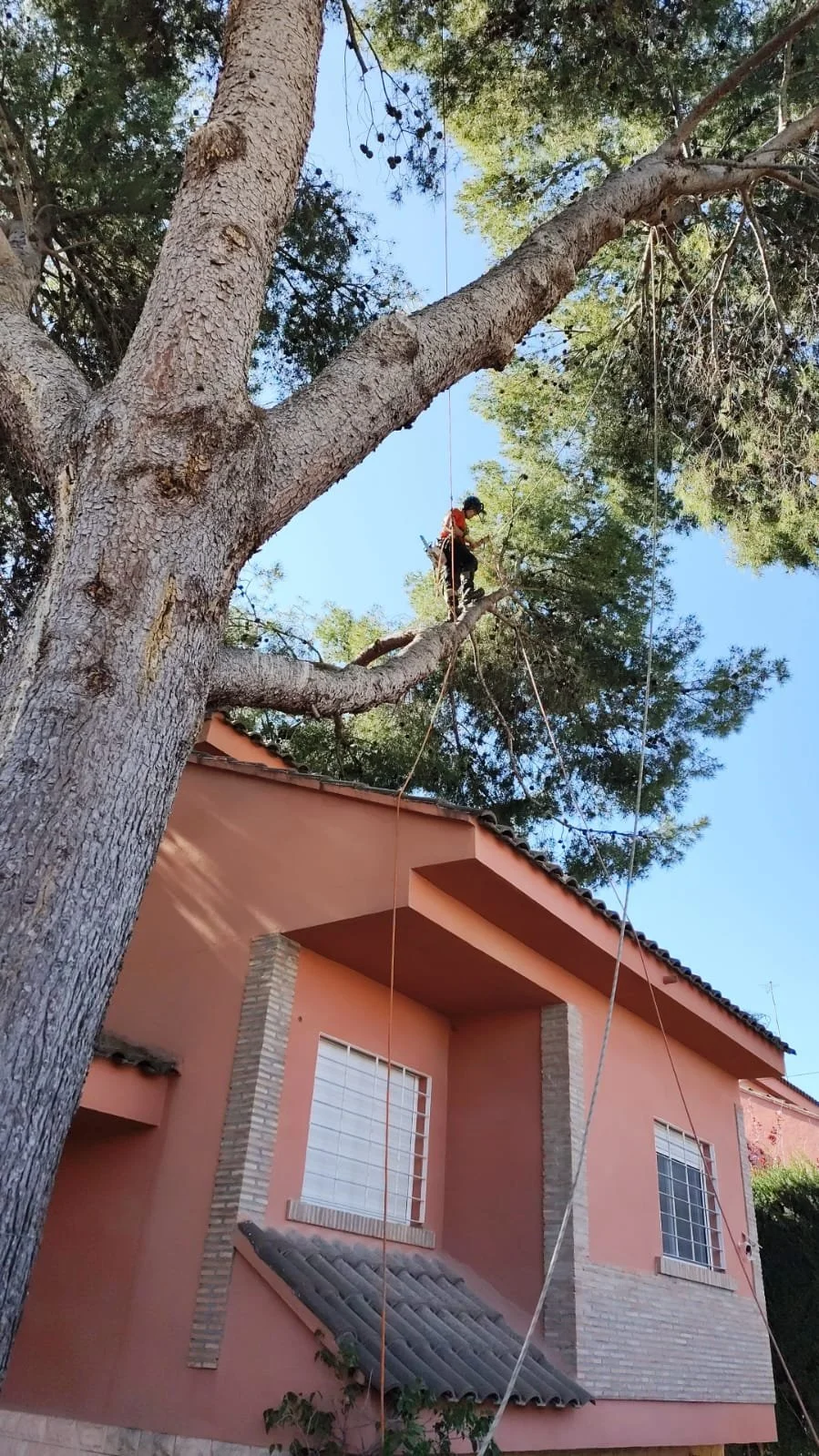 WhatsApp Image 2025-11-21 at 14.12.41 (4).jpeg