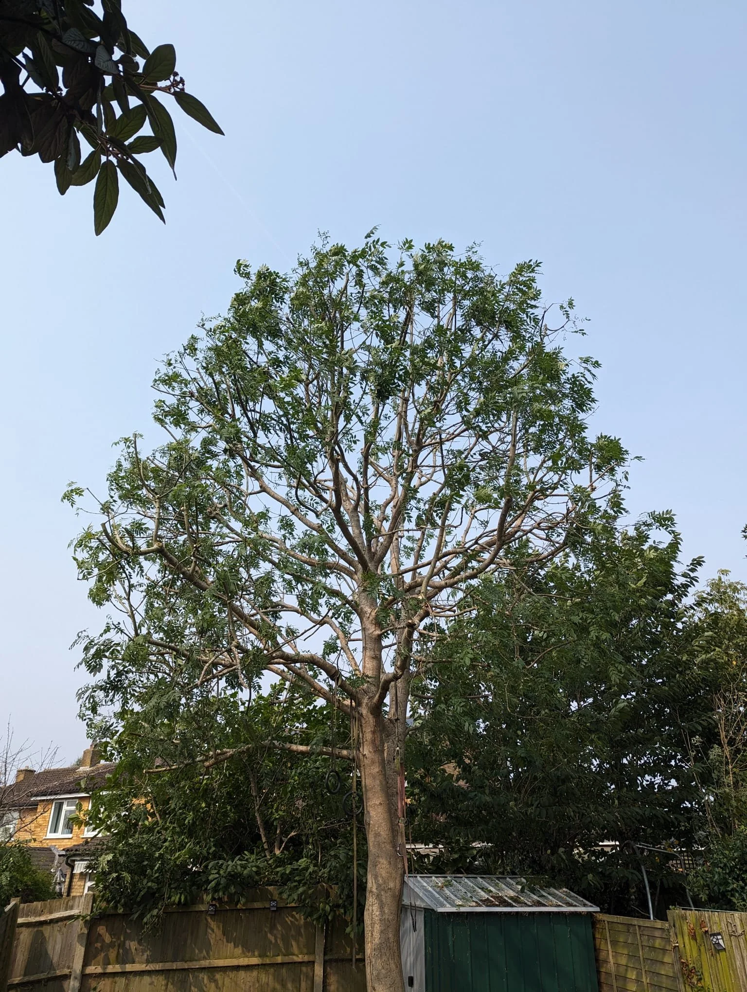 WhatsApp Image 2025-11-21 at 14.12.40 (3).jpeg