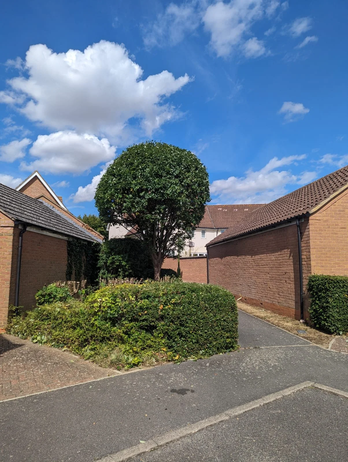 WhatsApp Image 2025-11-21 at 14.12.40 (4).jpeg