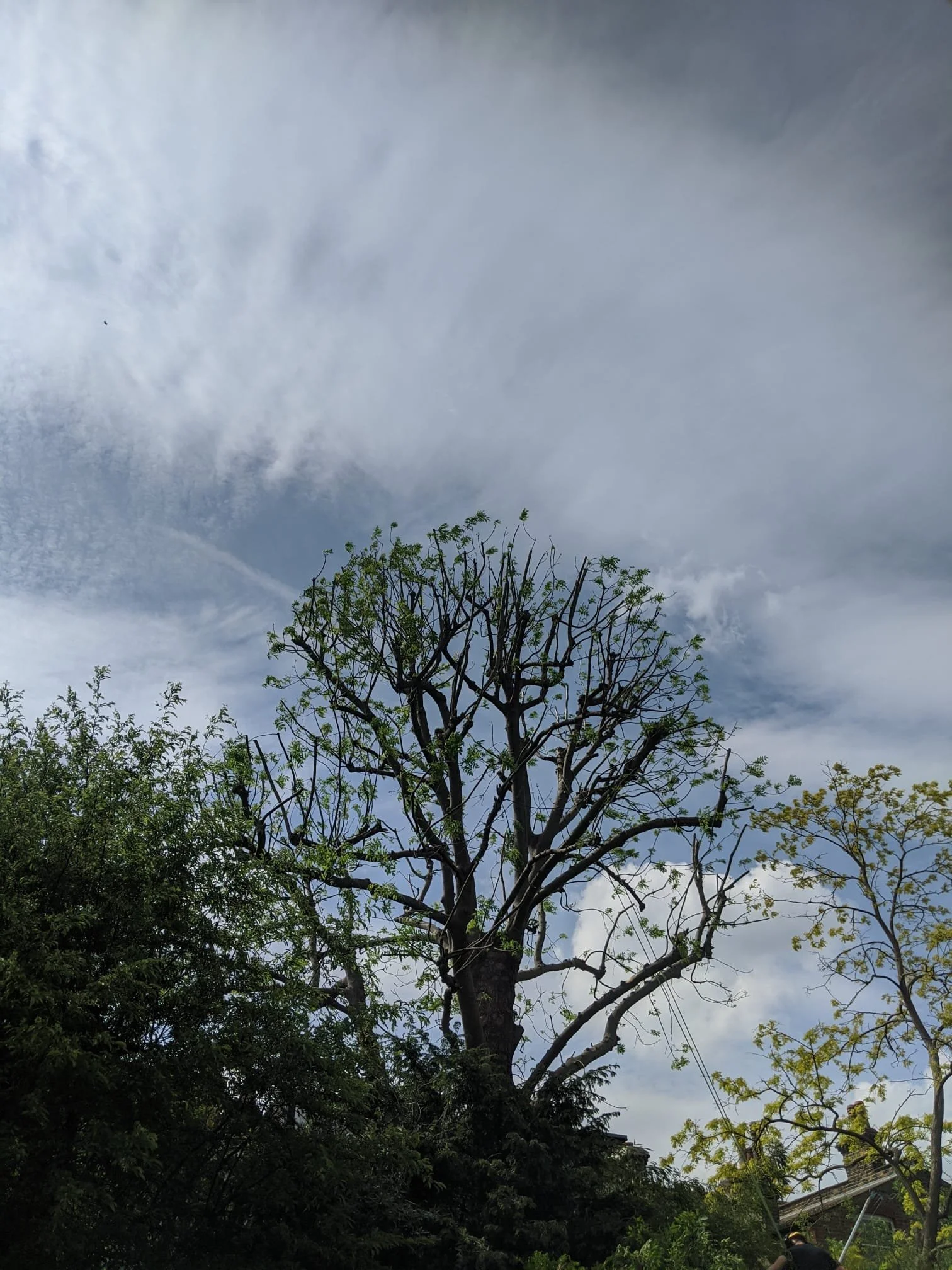 WhatsApp Image 2025-11-21 at 14.12.41 (1).jpeg