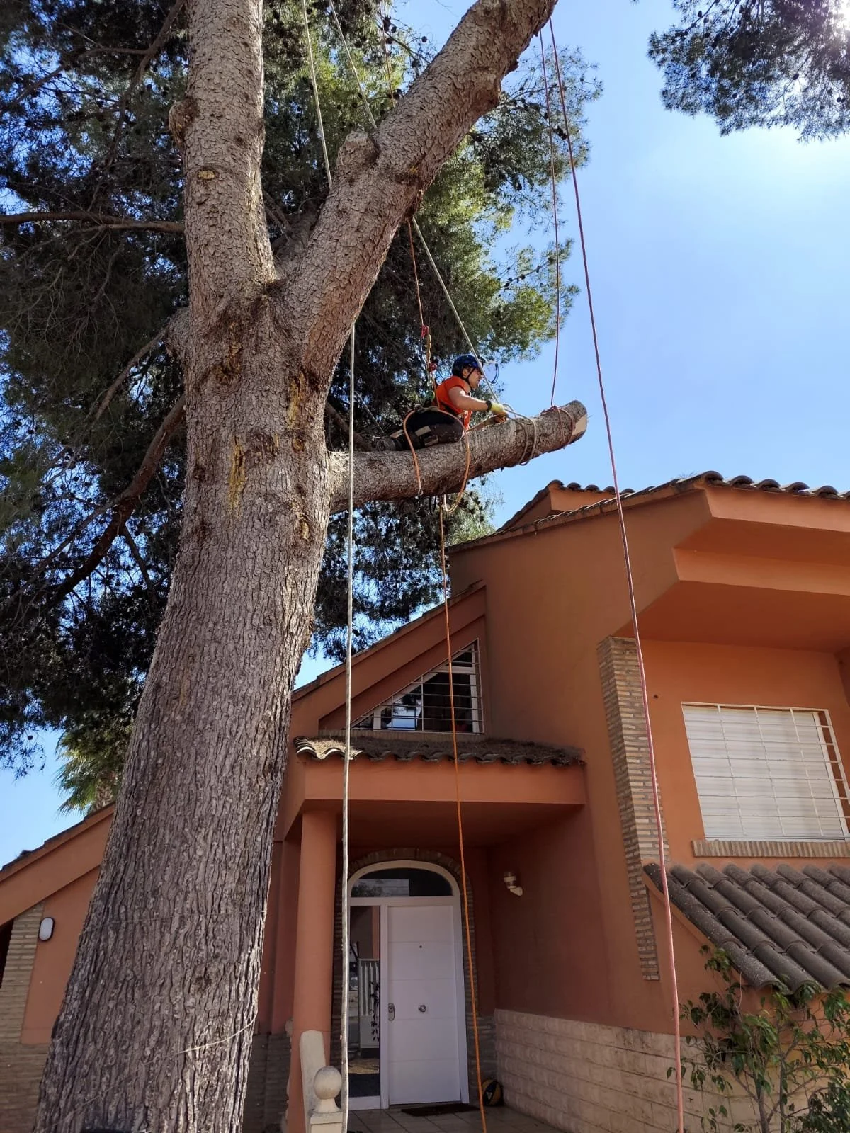 WhatsApp Image 2025-11-21 at 14.12.41 (5).jpeg