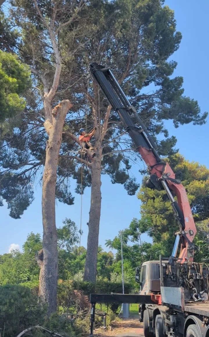 WhatsApp Image 2025-11-21 at 14.12.40 (6).jpeg