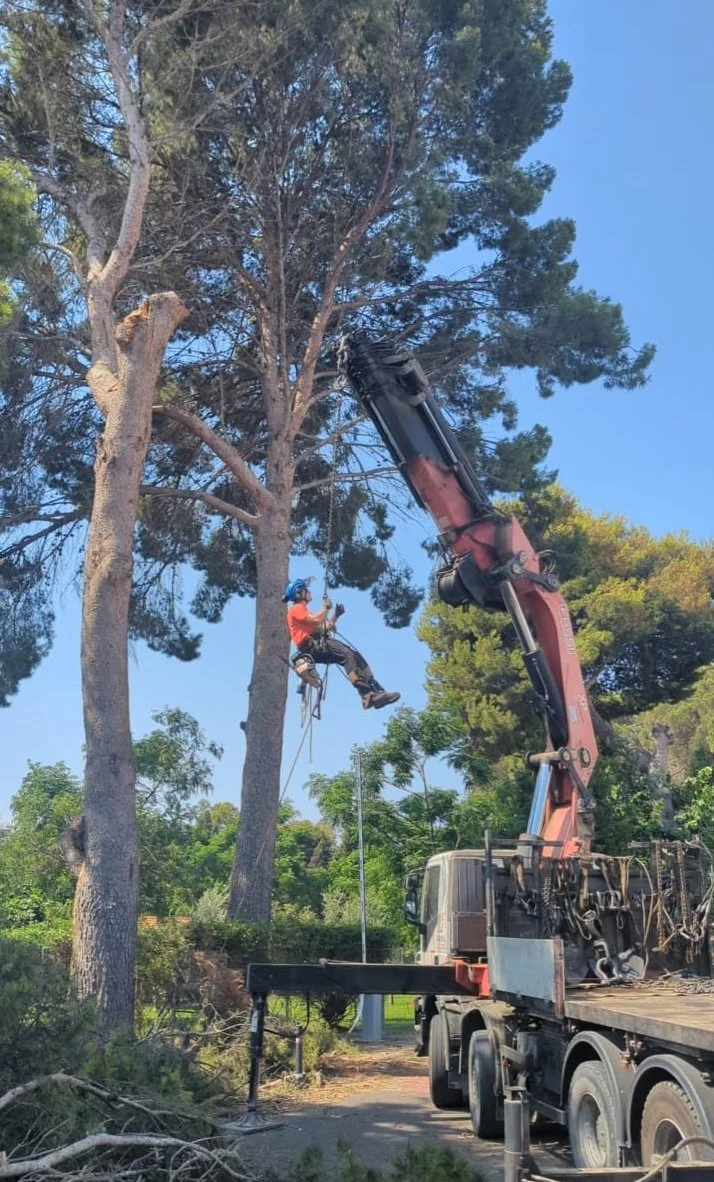 WhatsApp Image 2025-11-21 at 14.12.40.jpeg