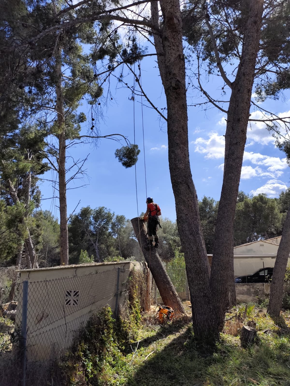 WhatsApp Image 2025-11-21 at 14.12.41 (6).jpeg