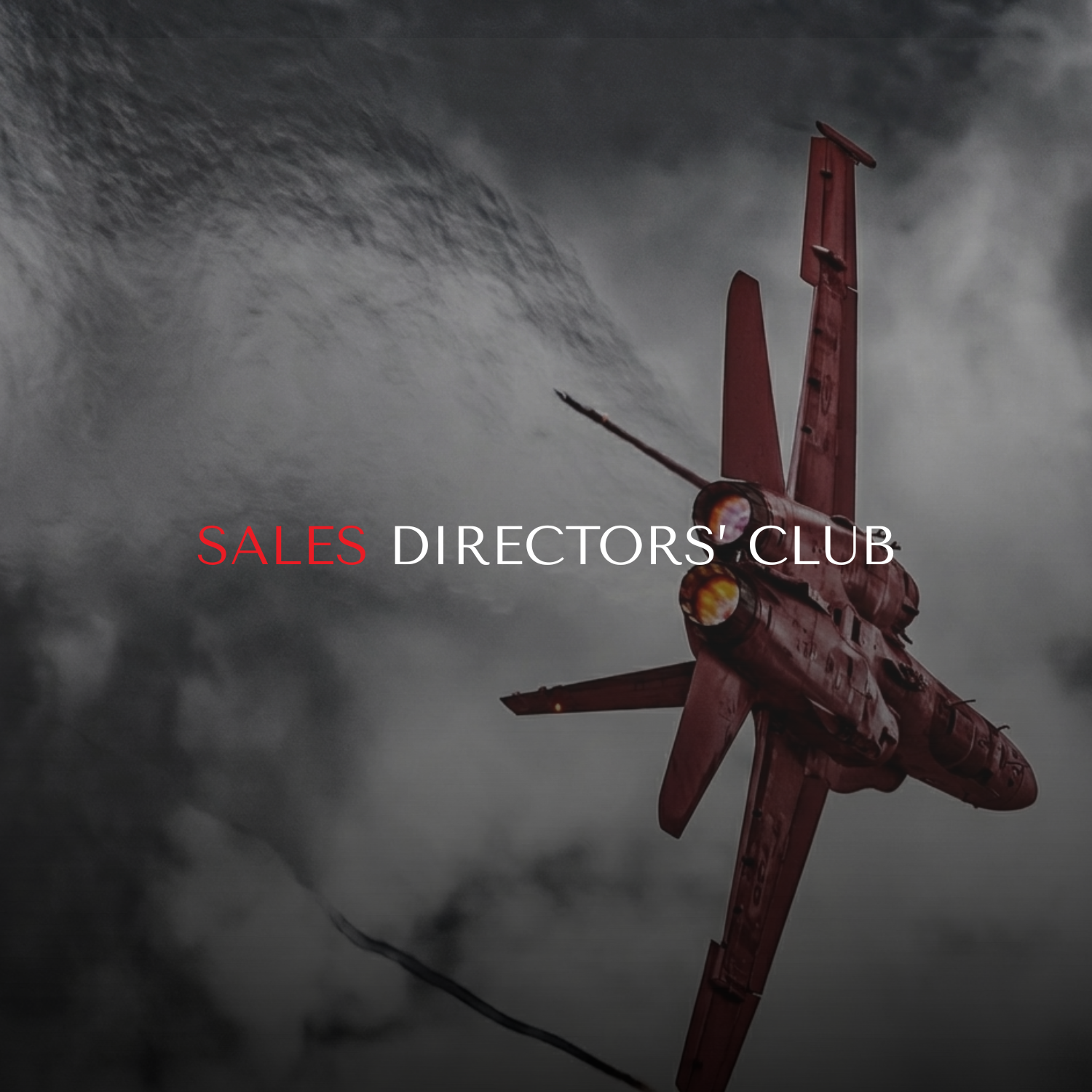 PEER LED SALES LEADERSHIP