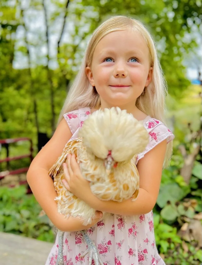 Farm & Treehouse Fun - 1 hour