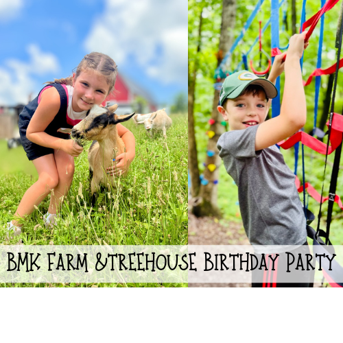 BMK farm treehouse party.png