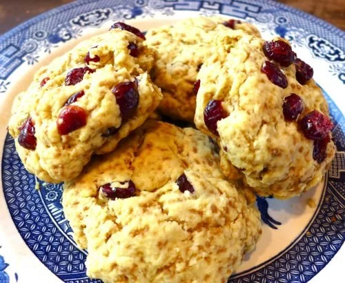 Cranberry Orange Olive Oil Scone