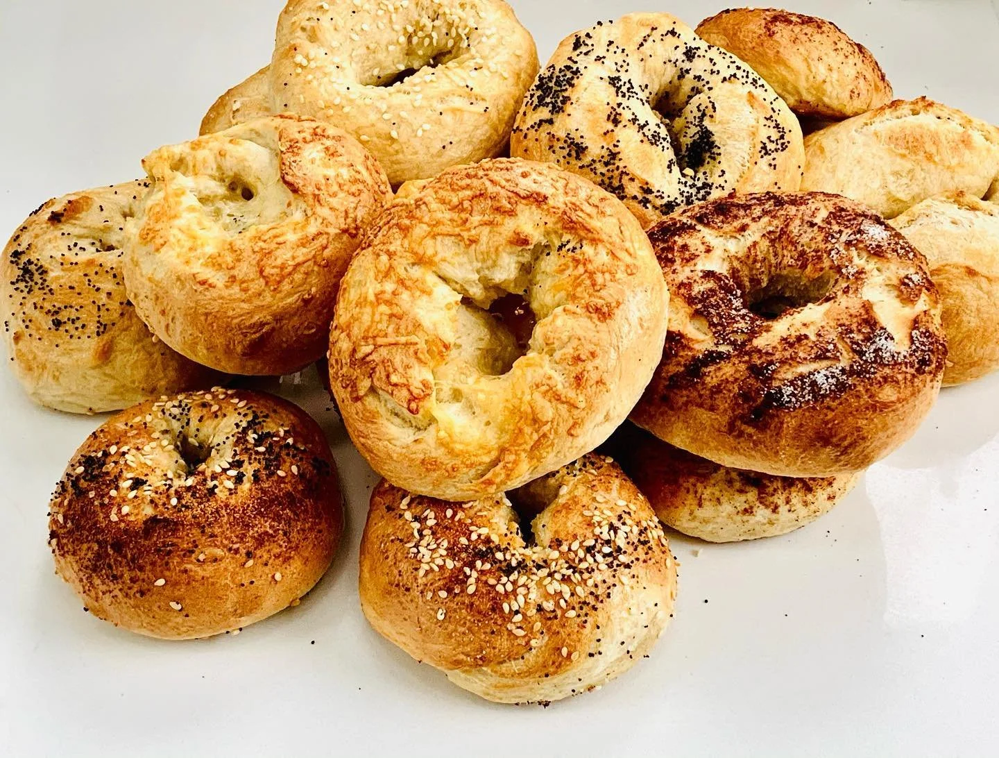 Basic Bagel Recipe (GF optional)