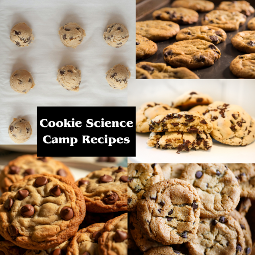 Cookie Science Camp Control Recipe plus experiments
