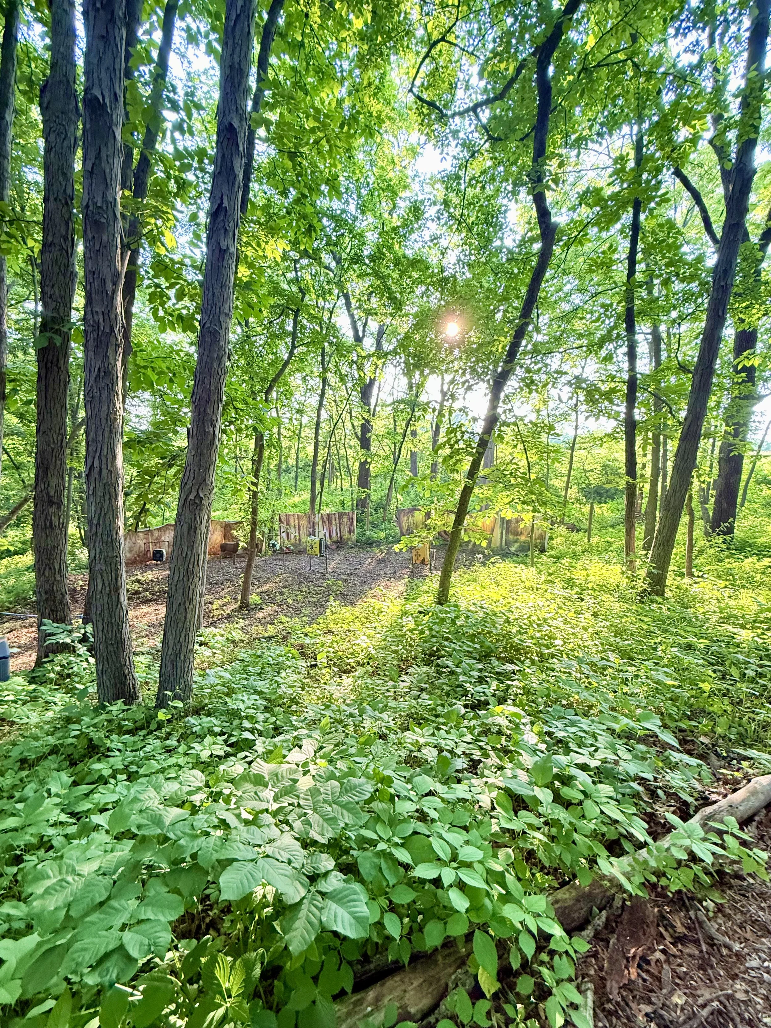 BMK archery range.jpeg