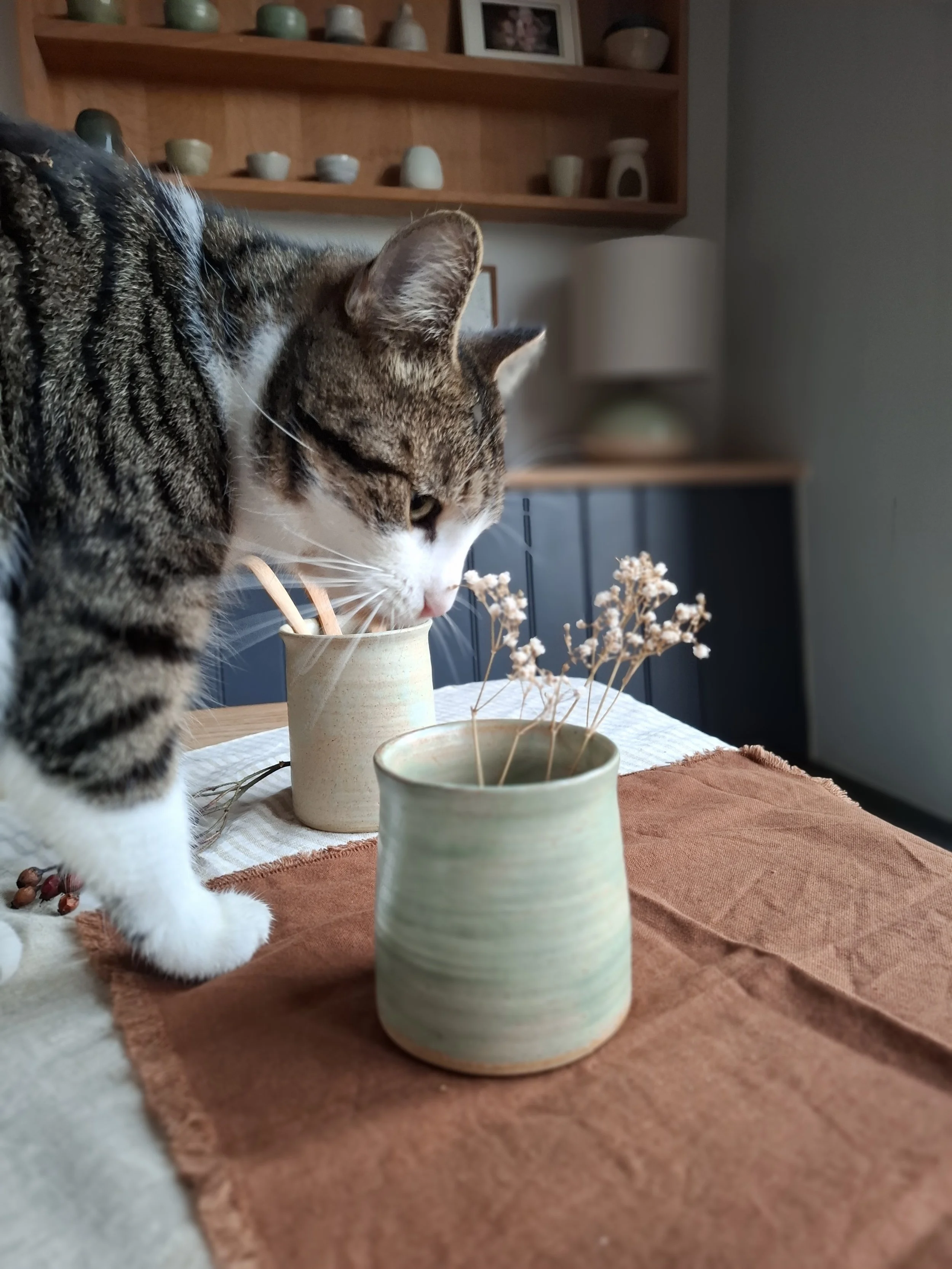 A tabby cat sniffing or drinking from a beige ceramic cup on a table with a rust-colored cloth. The table also has a second similar cup with dried flowers. In the background, there is a wooden shelf with small decorative pottery and a few frames, as well as a lamp on a cabinet.