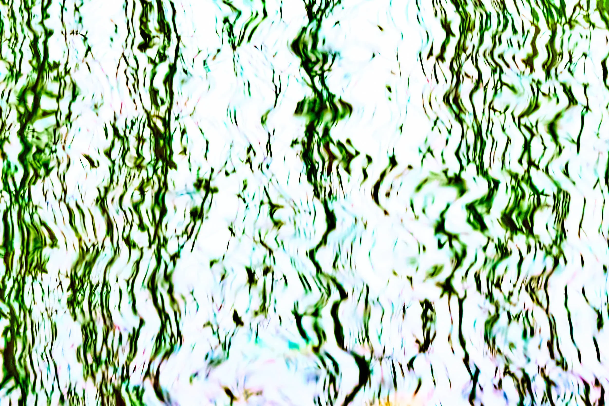 R6II8809Gräserspiegelung.jpg