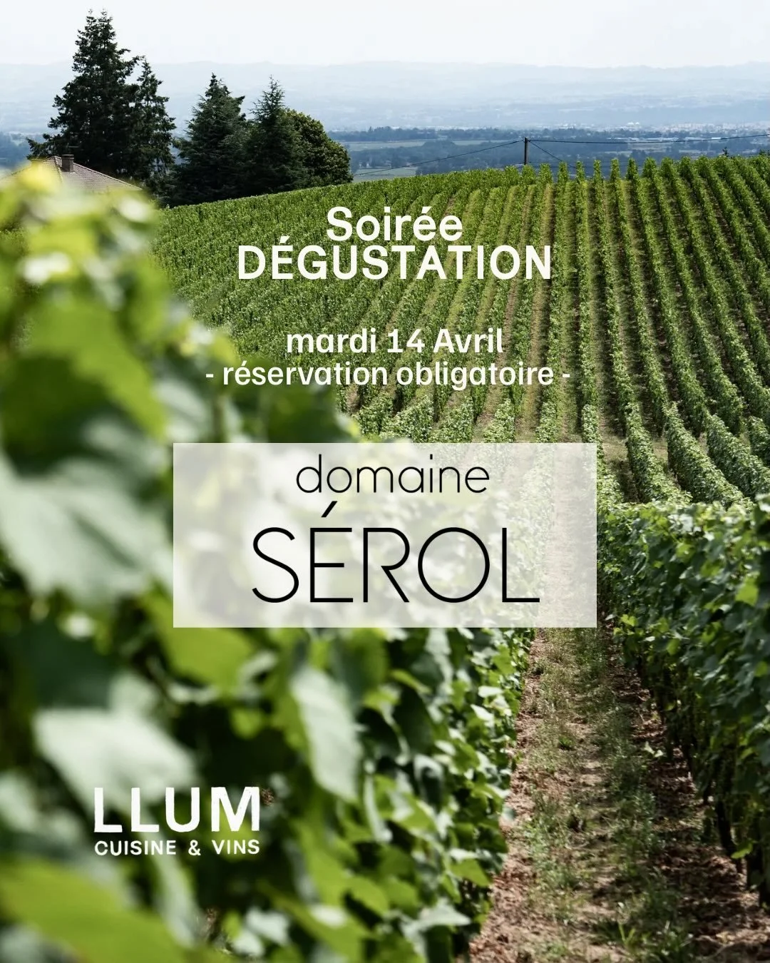 Premi&egrave;re soir&eacute;e d&eacute;gustation chez @llum_toulouse en compagnie du @domaineserol et de @baptiste_kud autour d&rsquo;un accord mets et vins en quatre temps.
R&eacute;servation obligatoire menu entr&eacute;e plat fromage dessert et qu