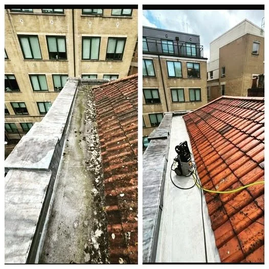 Need your roof cleaned?
Call Bee Squad Construction