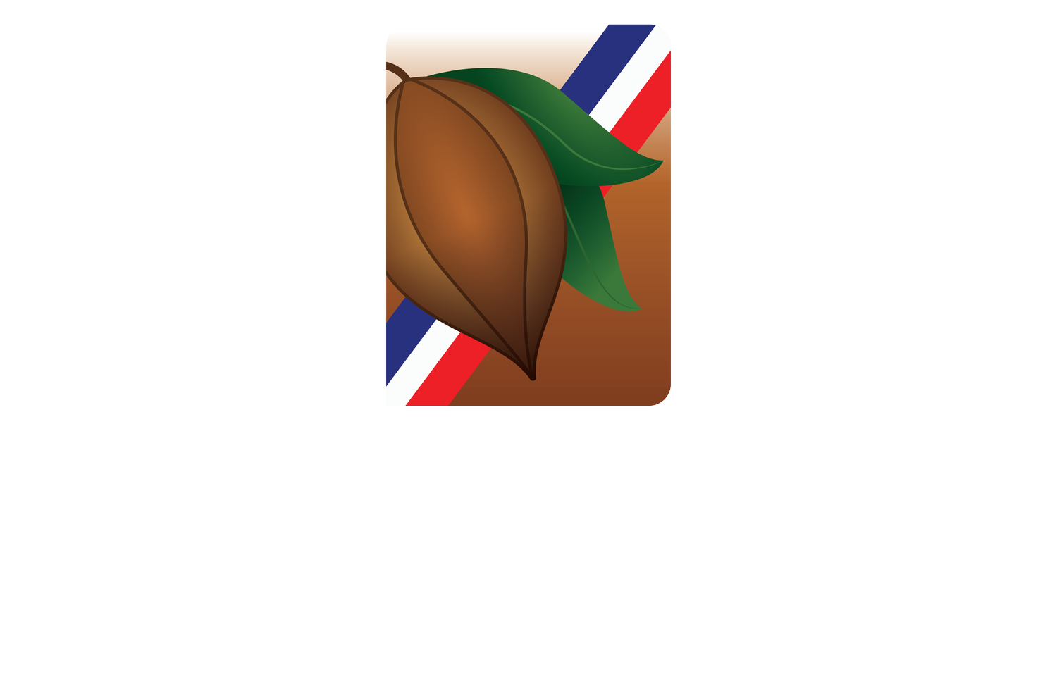 COMERCIAL DEL CAMPO, S.R.L | AGRO CACAO