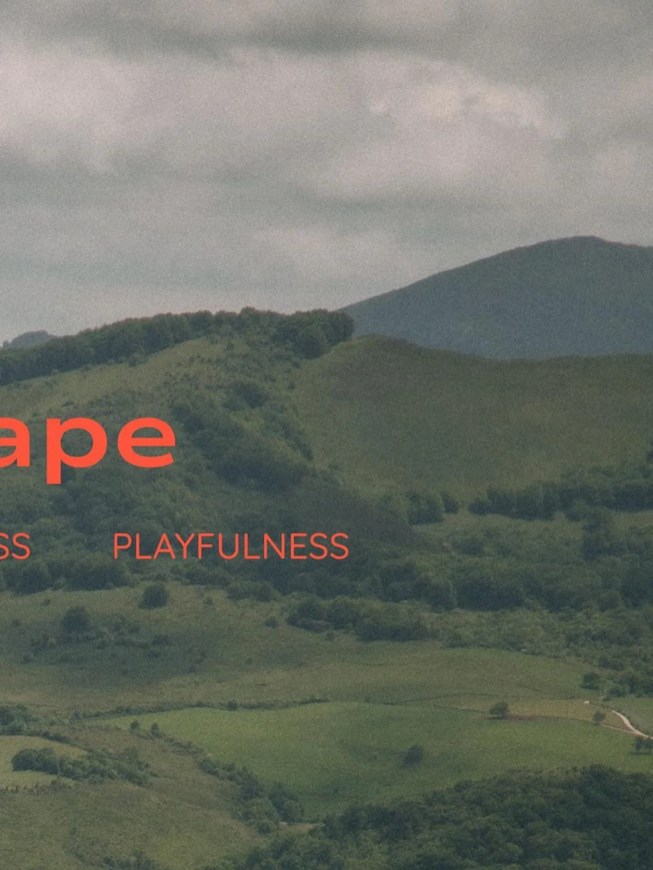 Special trips and experience to self-discover