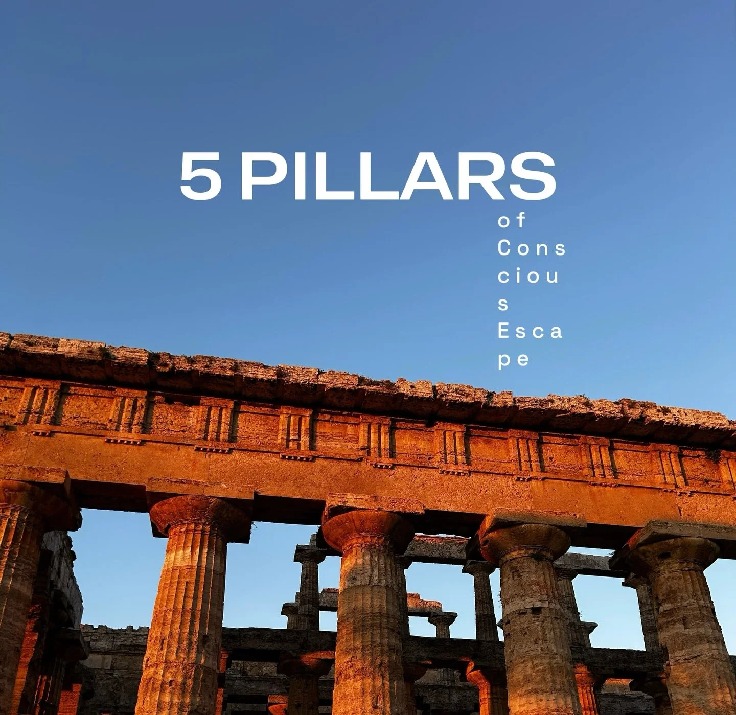 Being human is experiencing life on many levels.

It&rsquo;s not just mind, body, or connection. It&rsquo;s all of them.

In Conscious Escape we rely on five pillars. To allow space for all parts of being human.

Community - being around others. Shar