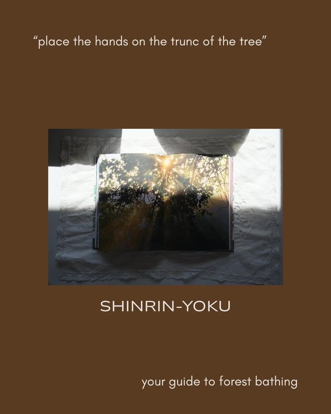 Your nervous system is running on ancient software &mdash; and nature is the update.

Nervous system regulation can be as easy as stepping outside. 

Forest bathing, known as Shinrin Yoku, is an ancient Japanese tradition rooted in simplicity &mdash;