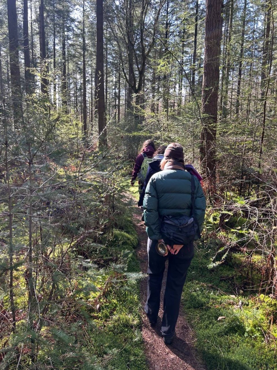 we gathered together to walk barefoot, taste (but not swallow) the leaves, touch the moss, observe the drops on the grass, drink tea with the frog 

it was our time ✨🪾🌳🌲 to forest bath