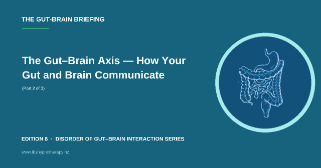 The Gut–Brain Axis — How Your Gut and Brain Communicate 