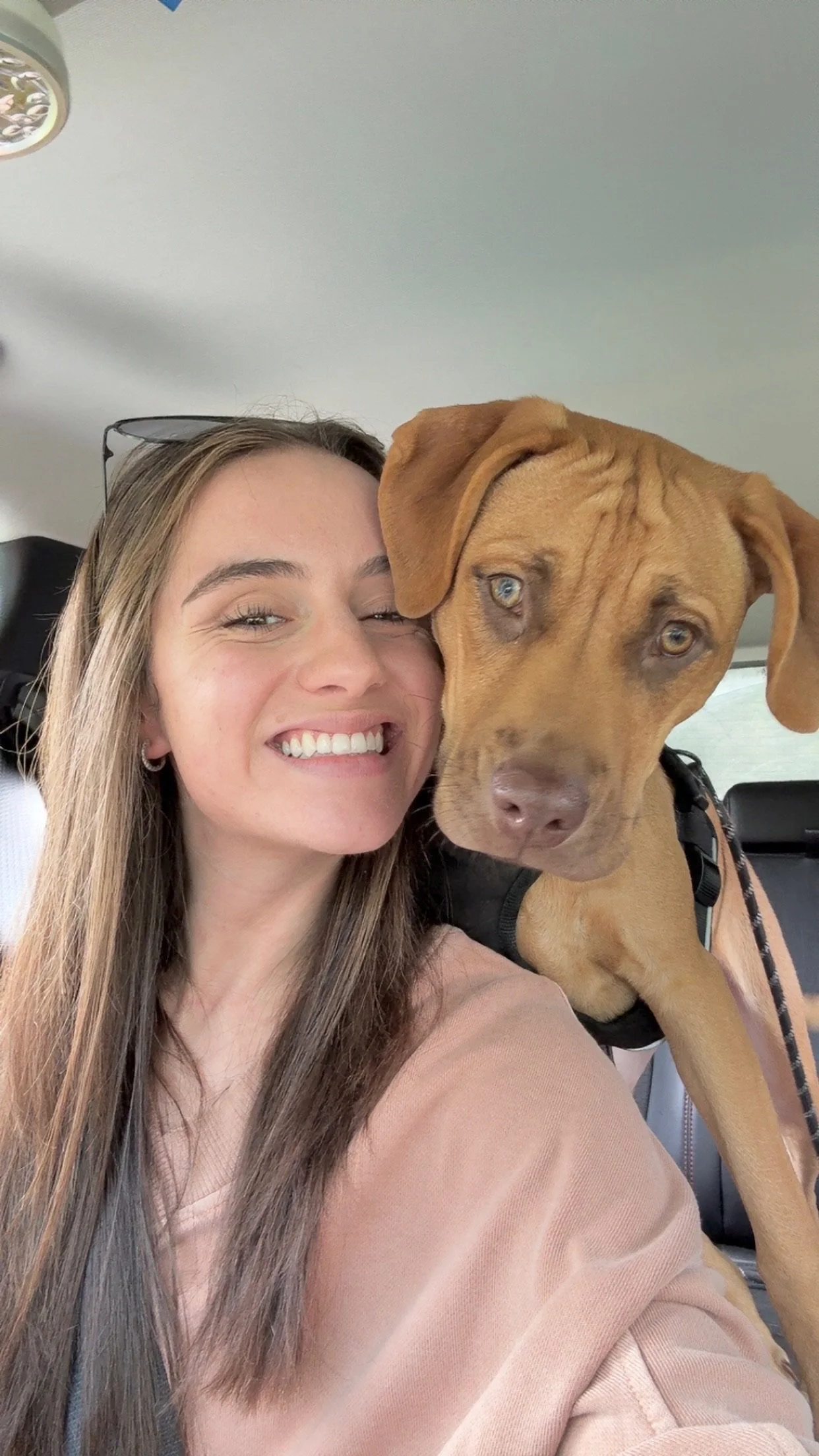 A smiling woman with long brown hair and a tan top taking a selfie with a large brown dog inside a vehicle.