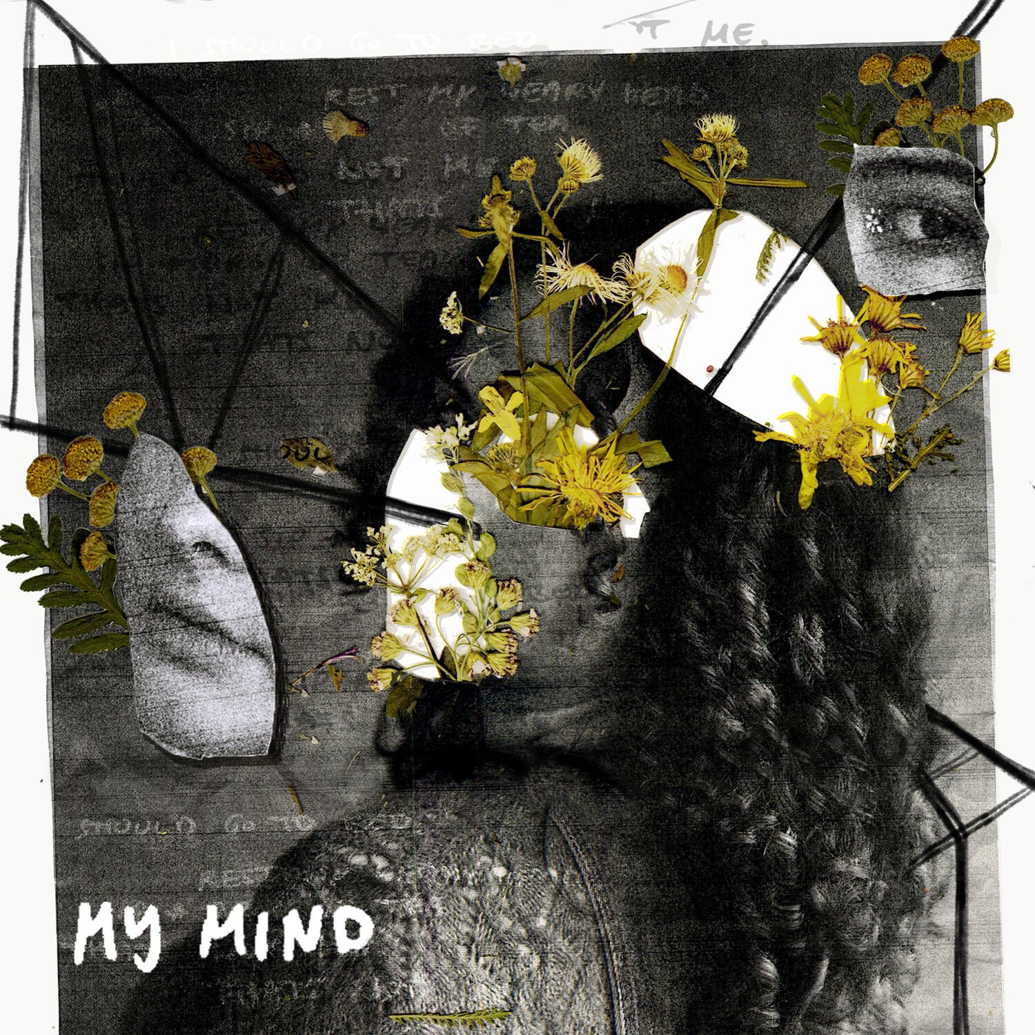 Schwarze Wand mit weißen und gelben Blumen, Collage von einem Foto von Nina ist in Fragmenten aufgeteilt und durch Kritzeleien verbunden, unten links steht der Songtitel 'my mind'