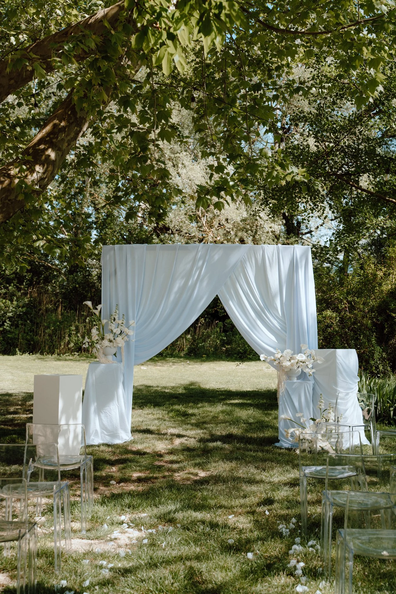 Une arche de mariage en tissu blanc se trouve dans un jardin entouré d'arbres avec des fleurs blanches, probablement pour une cérémonie en extérieur.