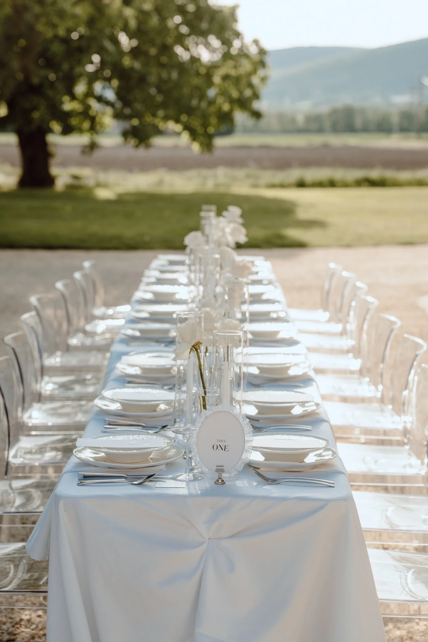 Une longue table dressée avec de la vaisselle blanche et des décorations florales en verre, située à l'extérieur avec un arbre en arrière-plan.
