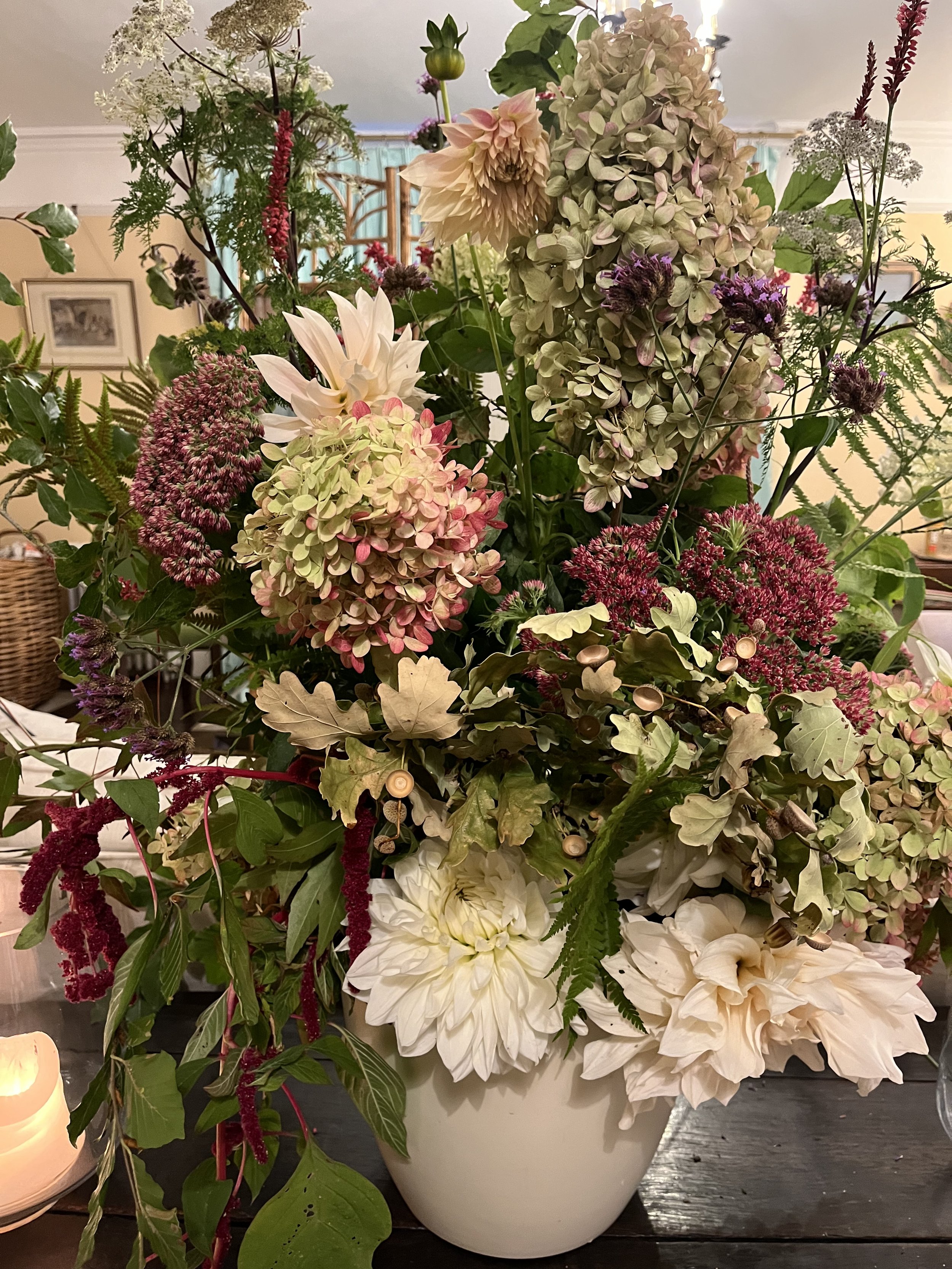 gallery 21 IMG_7775.jpeg