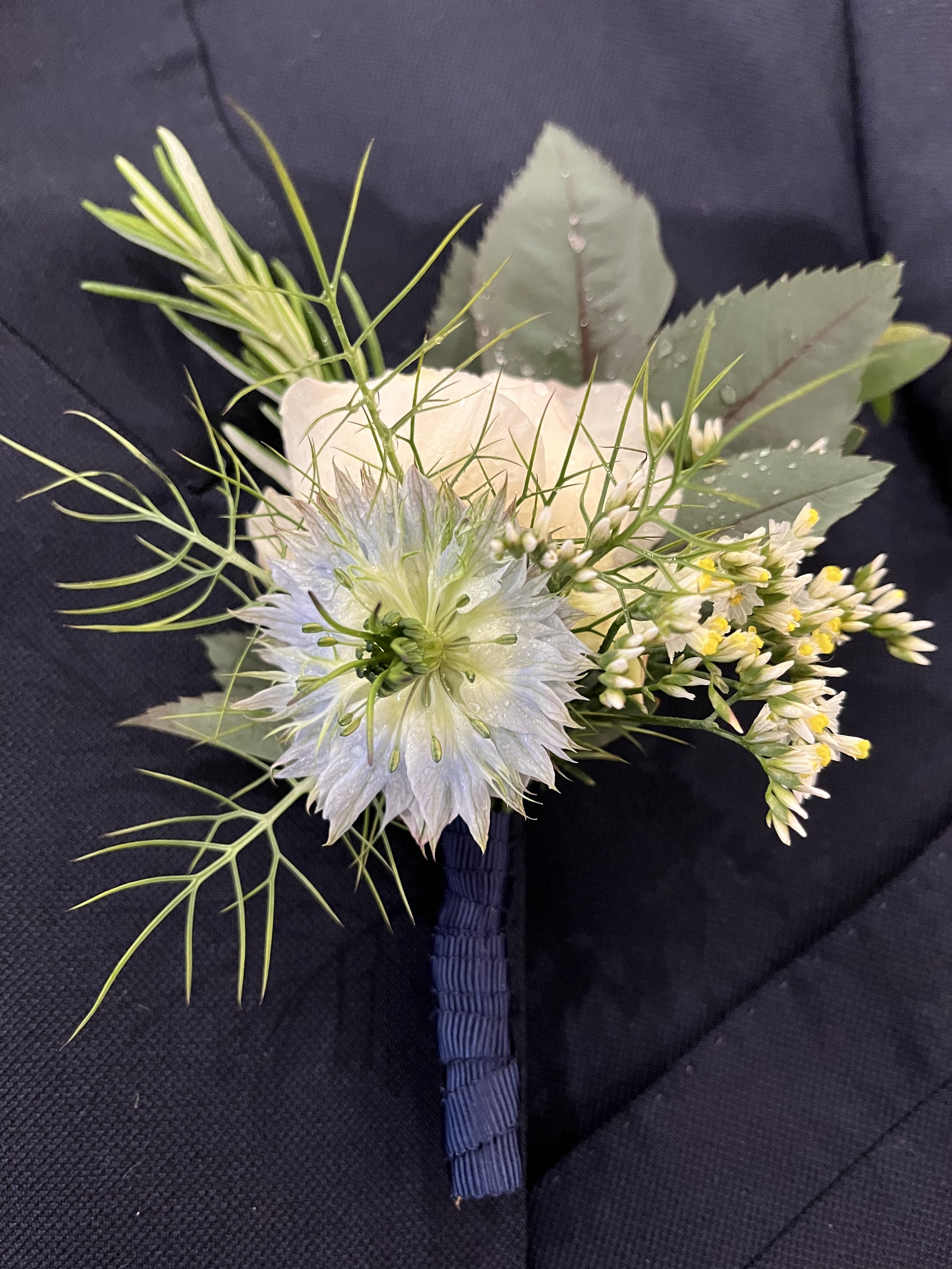 Gallery 11 IMG_6642.jpeg