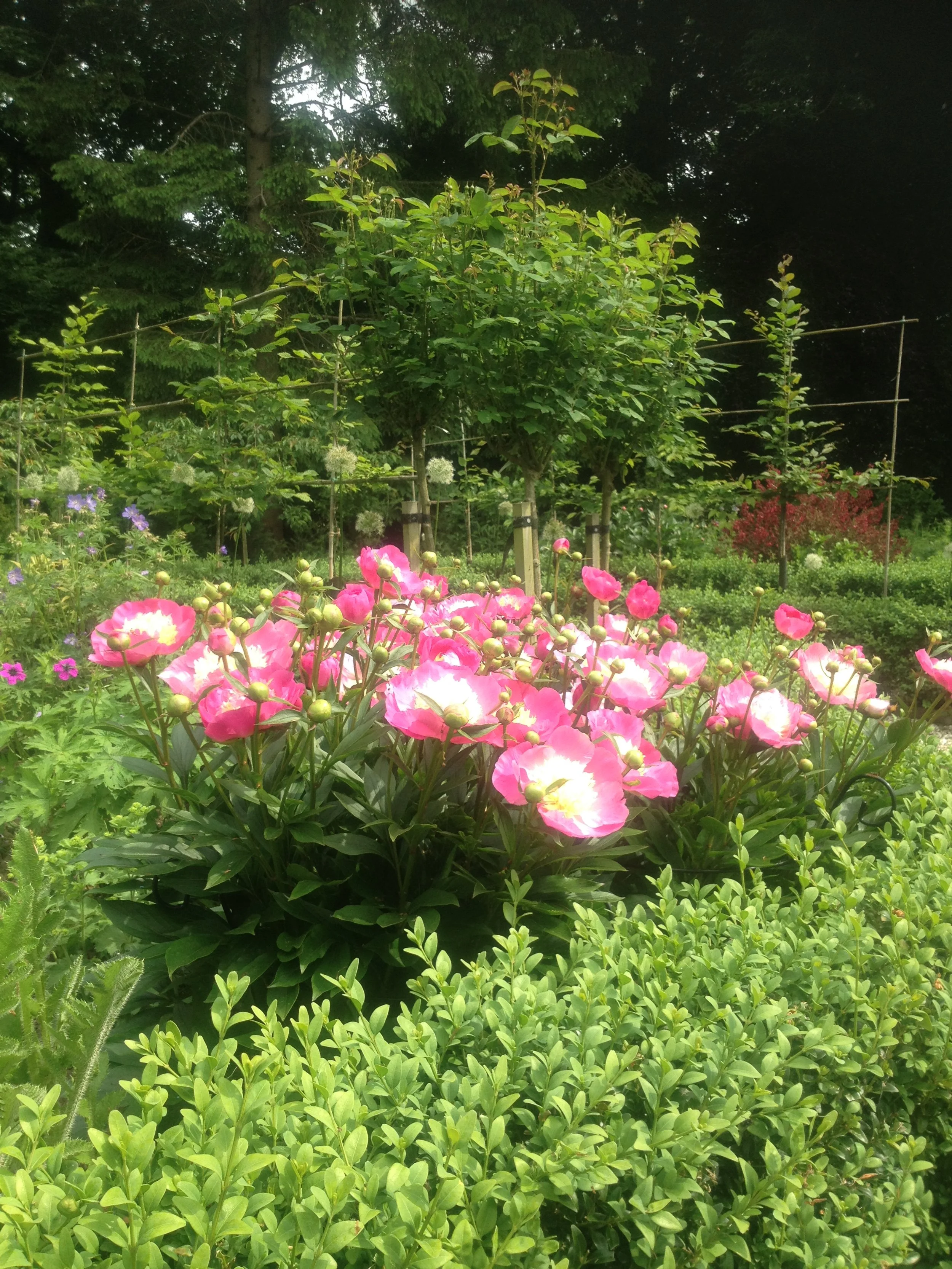 gallery 27 IMG_1952.JPG