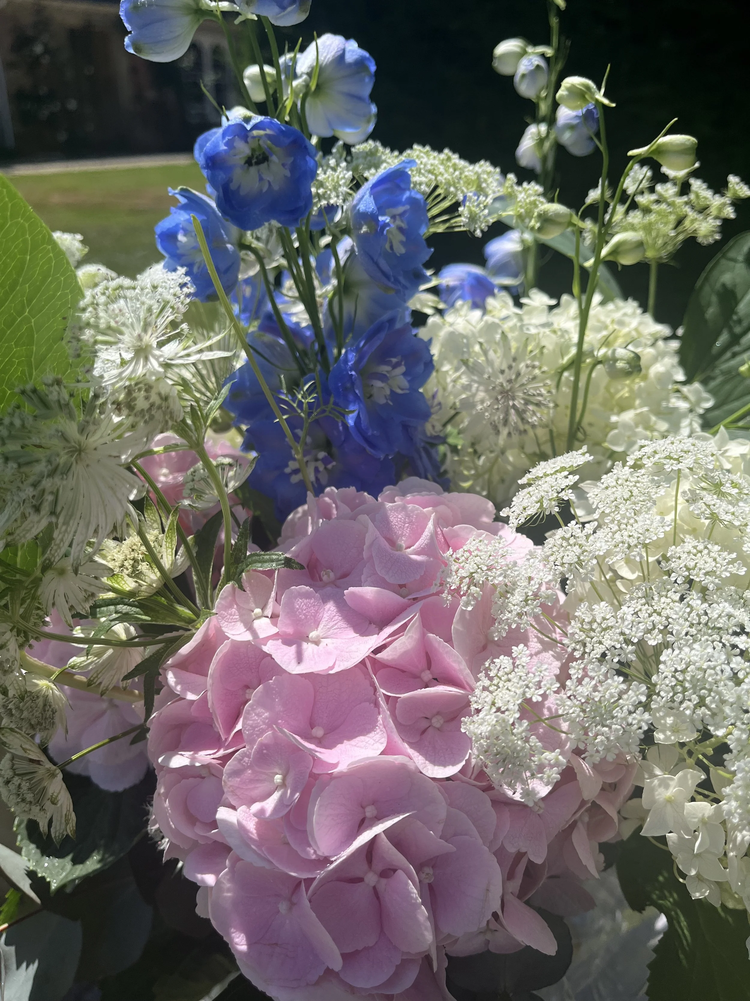 Gallery 10 IMG_6836.jpeg