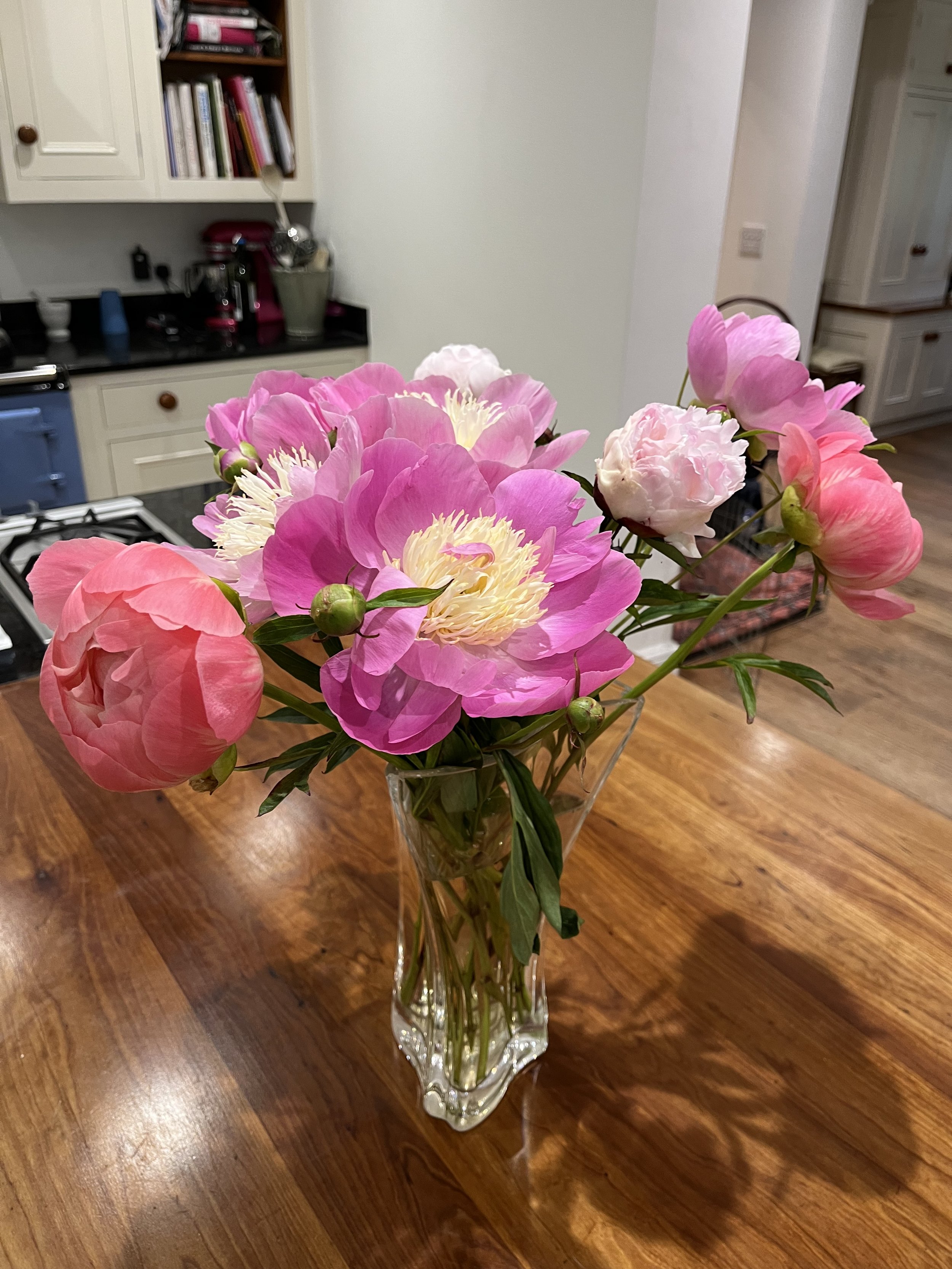 gallery 23 IMG_2549.jpeg