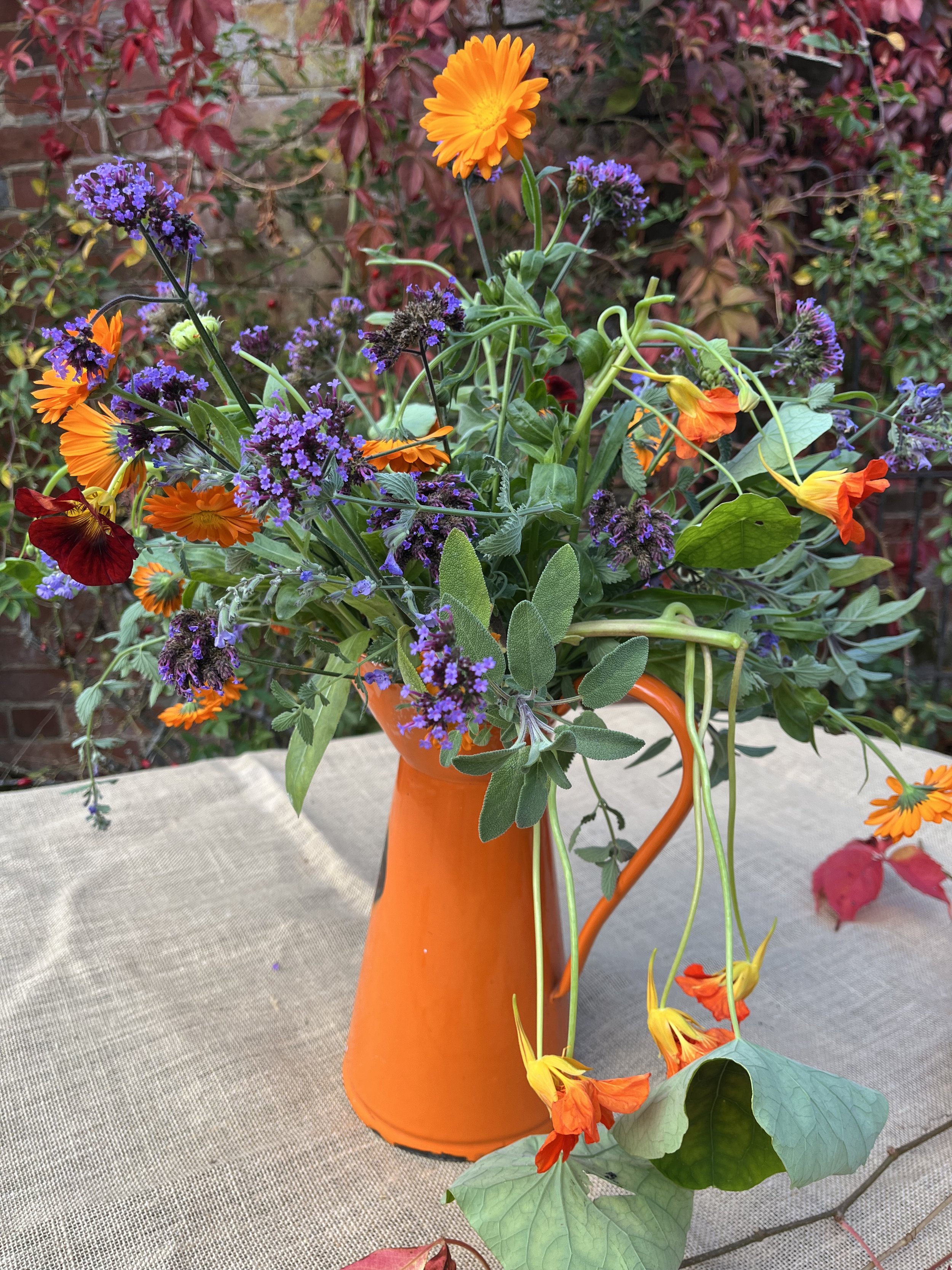 Gallery 4 IMG_7756.jpeg