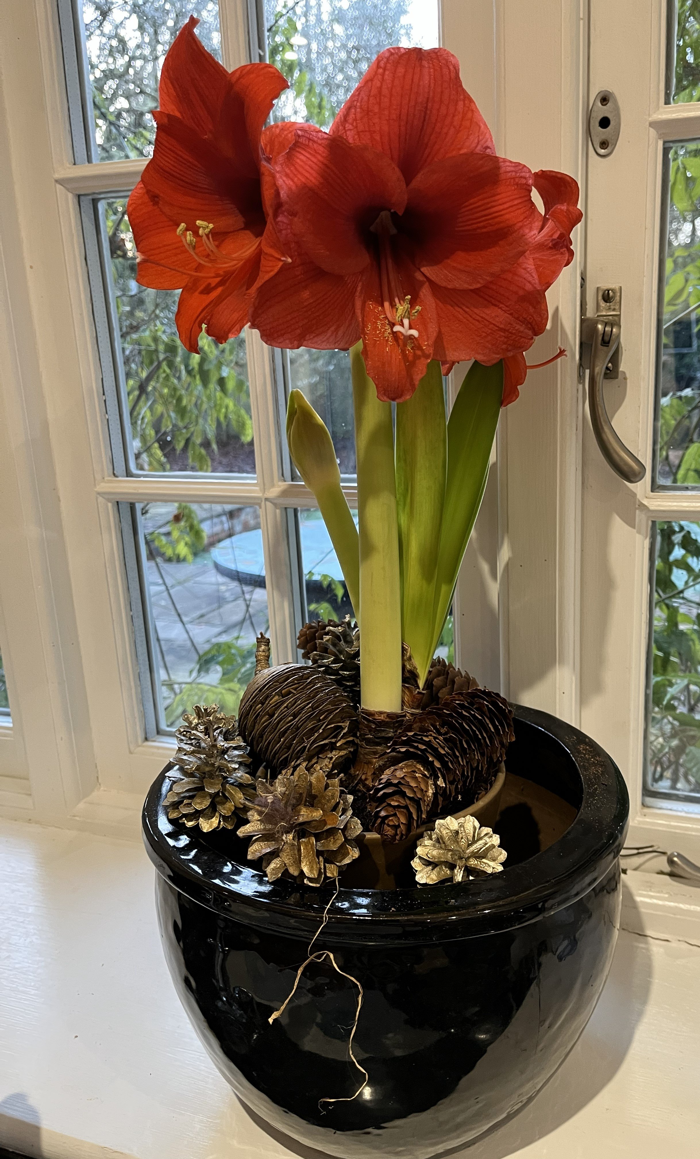 Gallery 2 IMG_8317.jpg