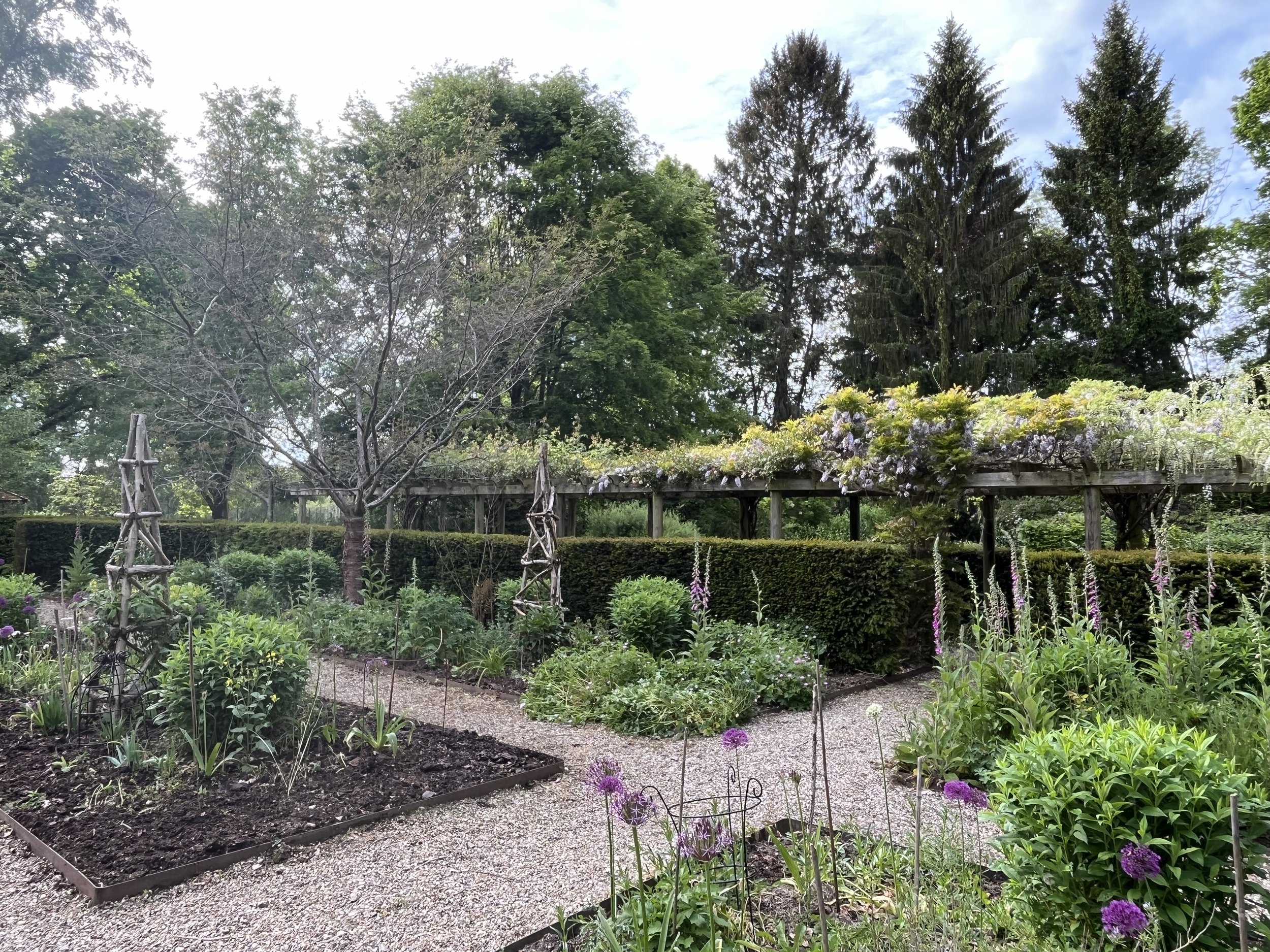 Gallery 7 IMG_3996 - Copy.jpeg