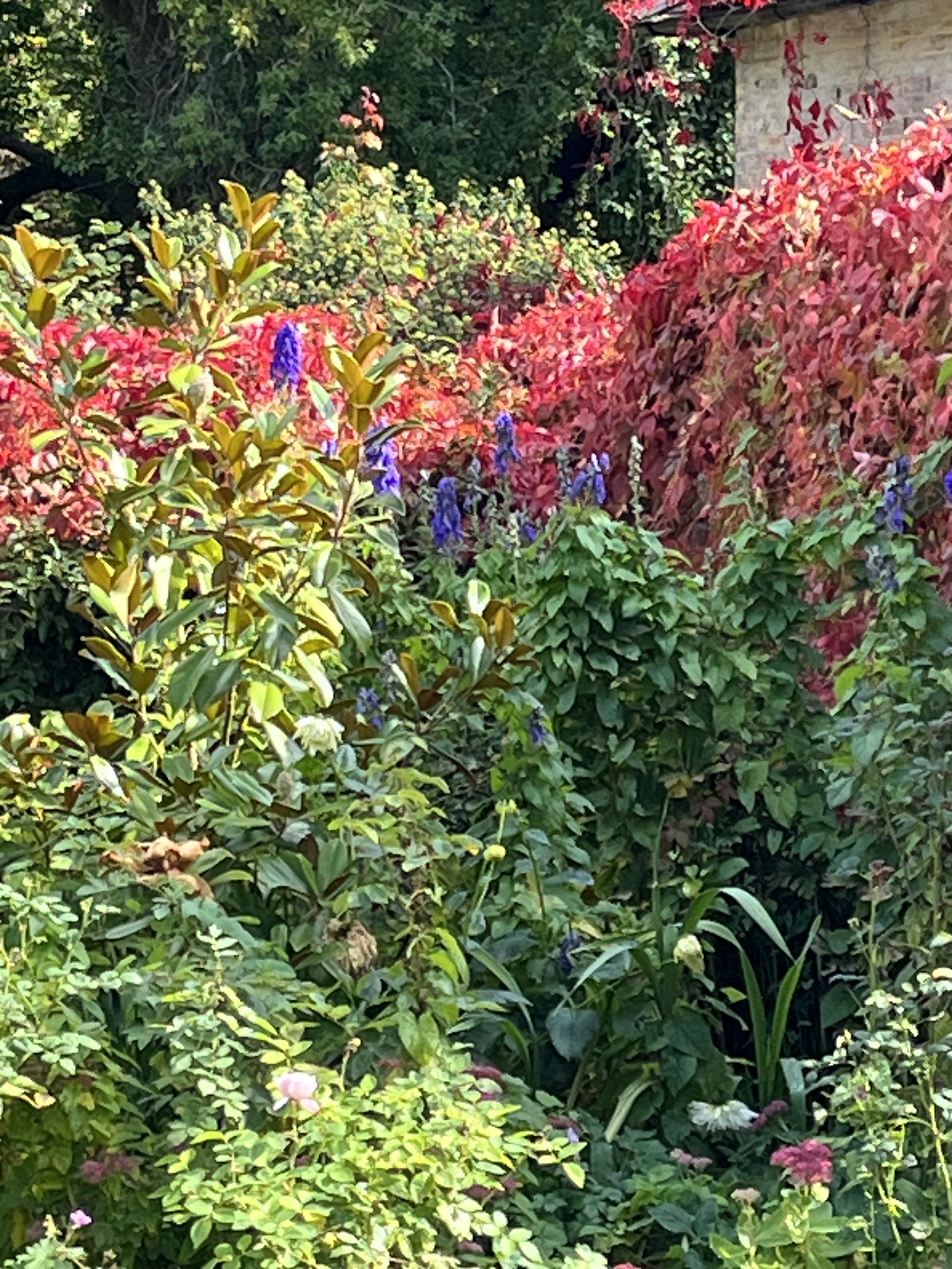 Gallery 5 AIMG_7722.jpeg