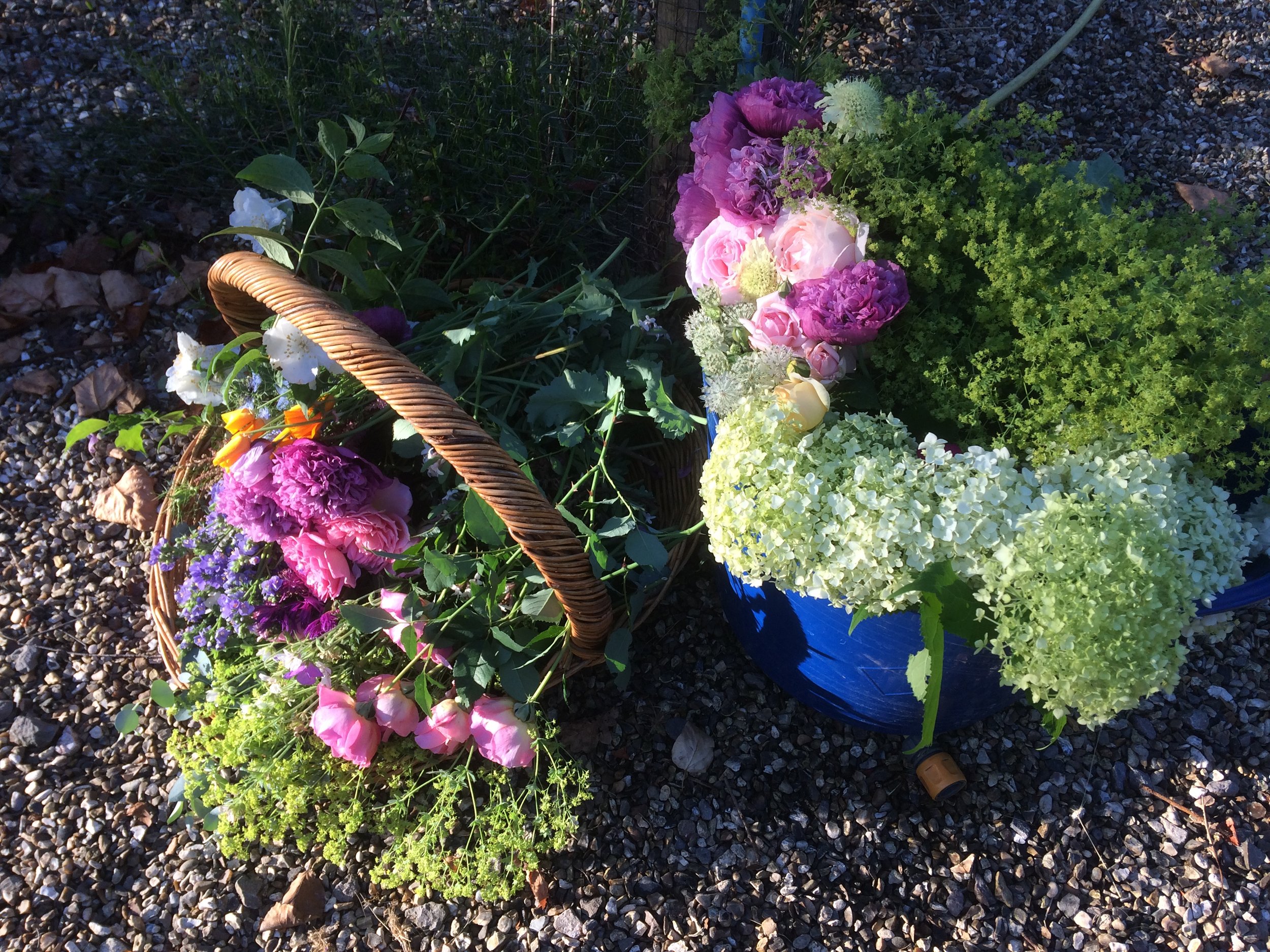 My ethos 4 IMG_2425.JPG