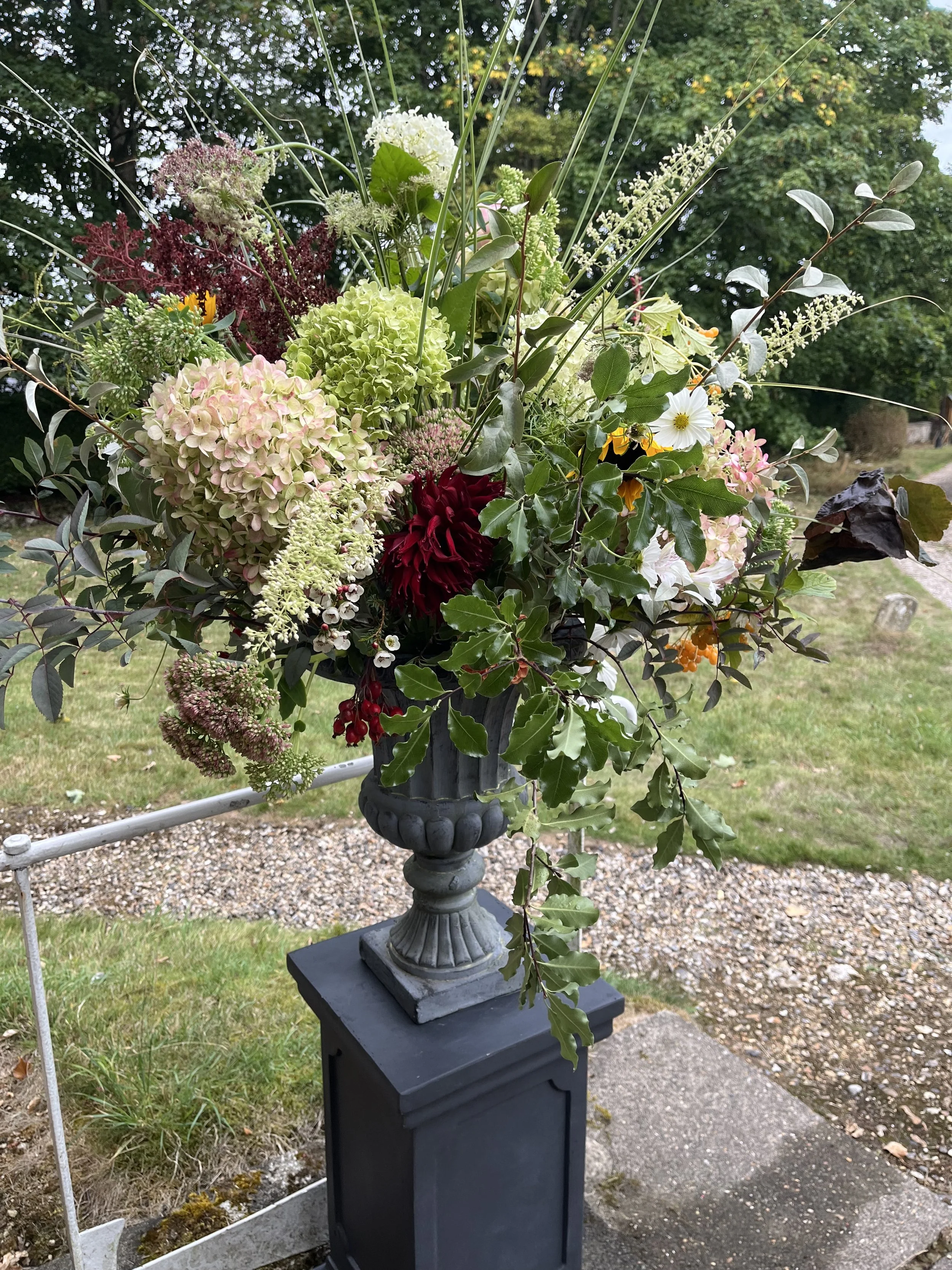 Gallery 18 IMG_7409.jpeg