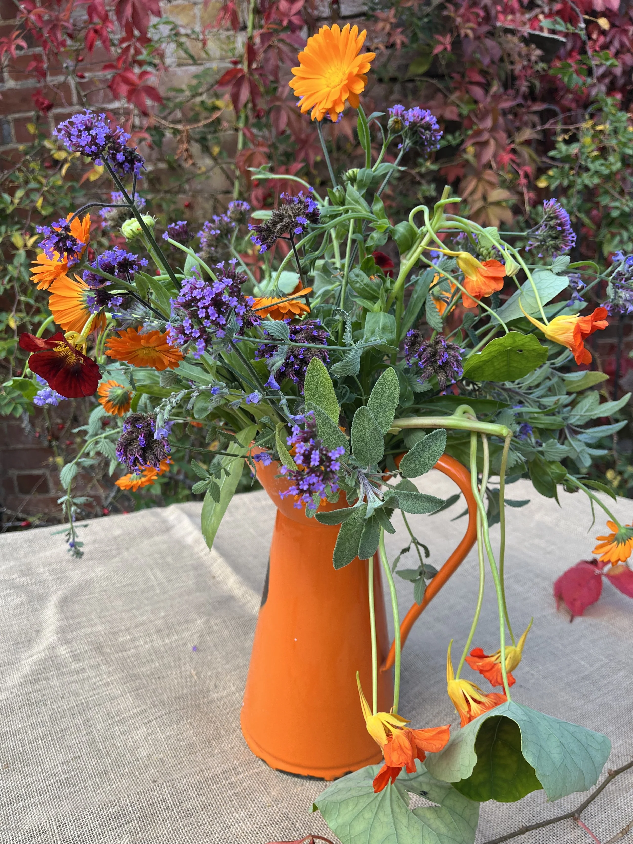 My ethos 3  IMG_7755.jpeg