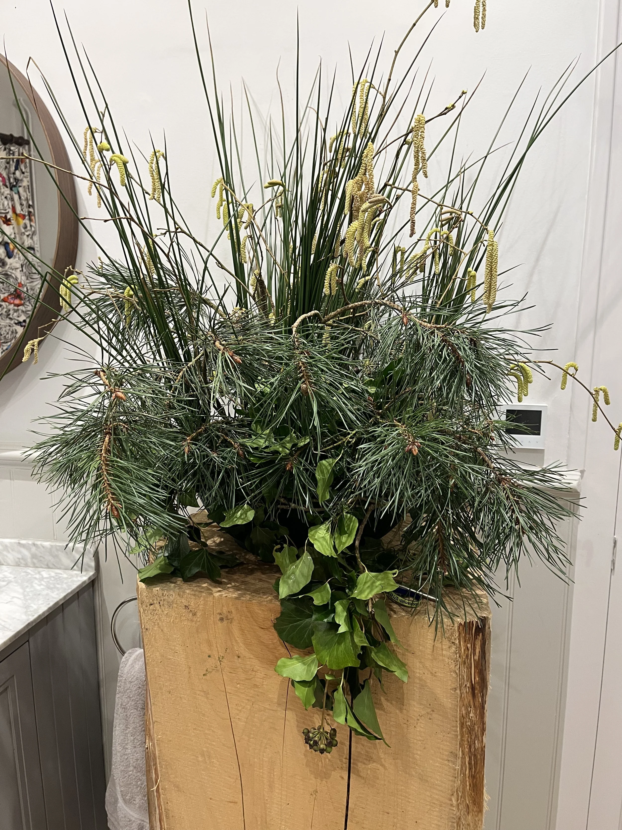 CORPORATE 13 IMG_5604.jpeg