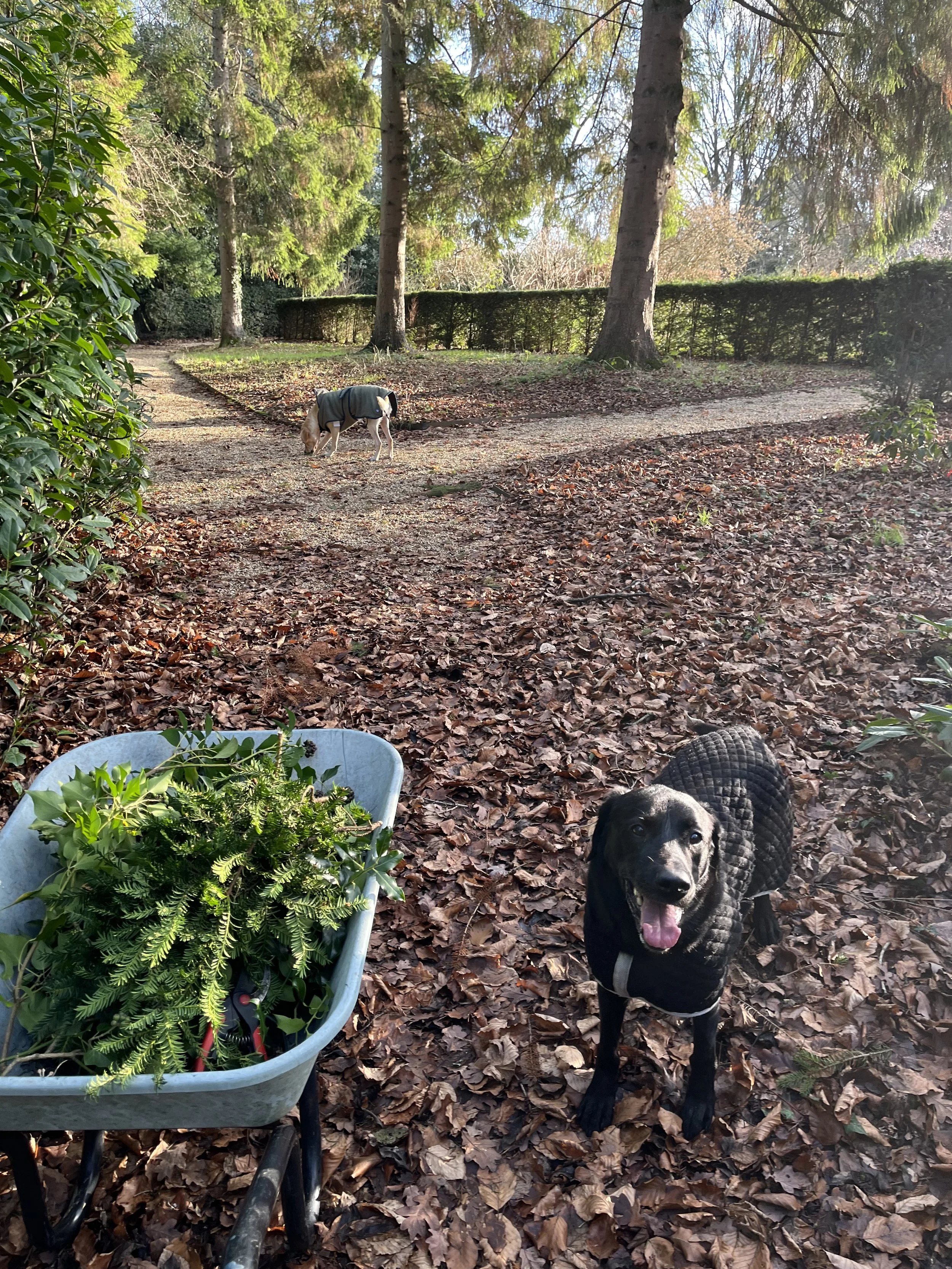 Gallery 3 IMG_8694.jpeg