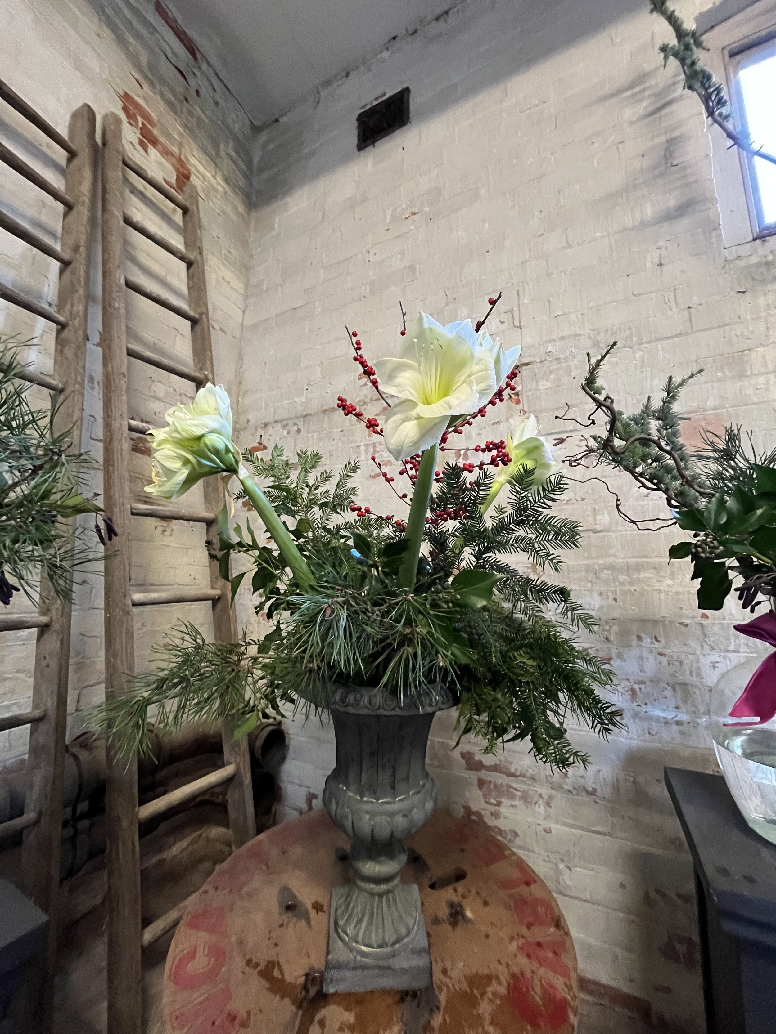 Corporate 7 IMG_8733.jpeg